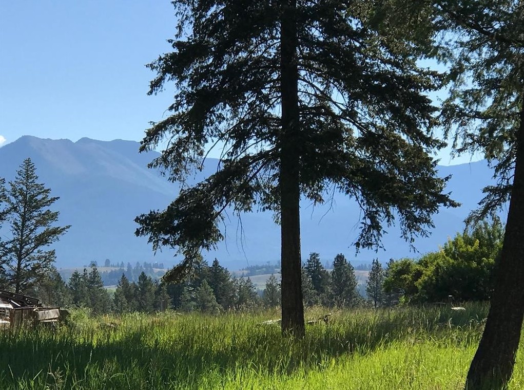 Lot 2 Black Lake Road