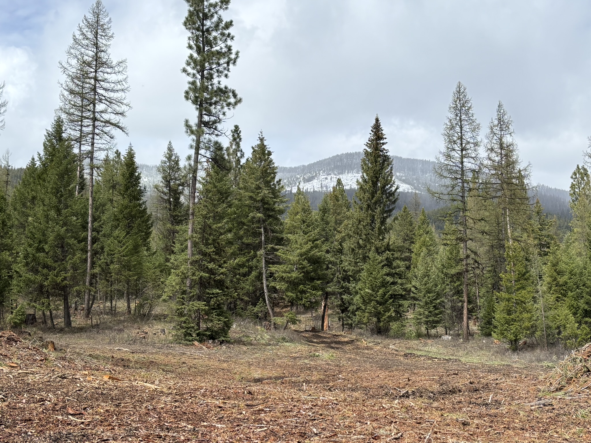 301 Haskill Ranch Road Lot 37