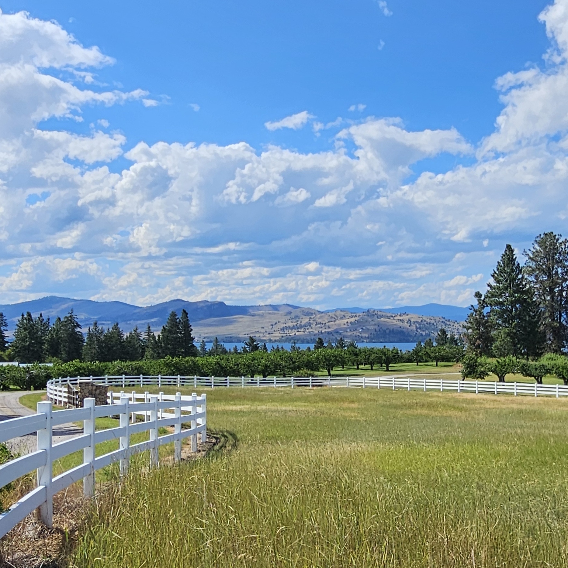 39784 US Hwy 93