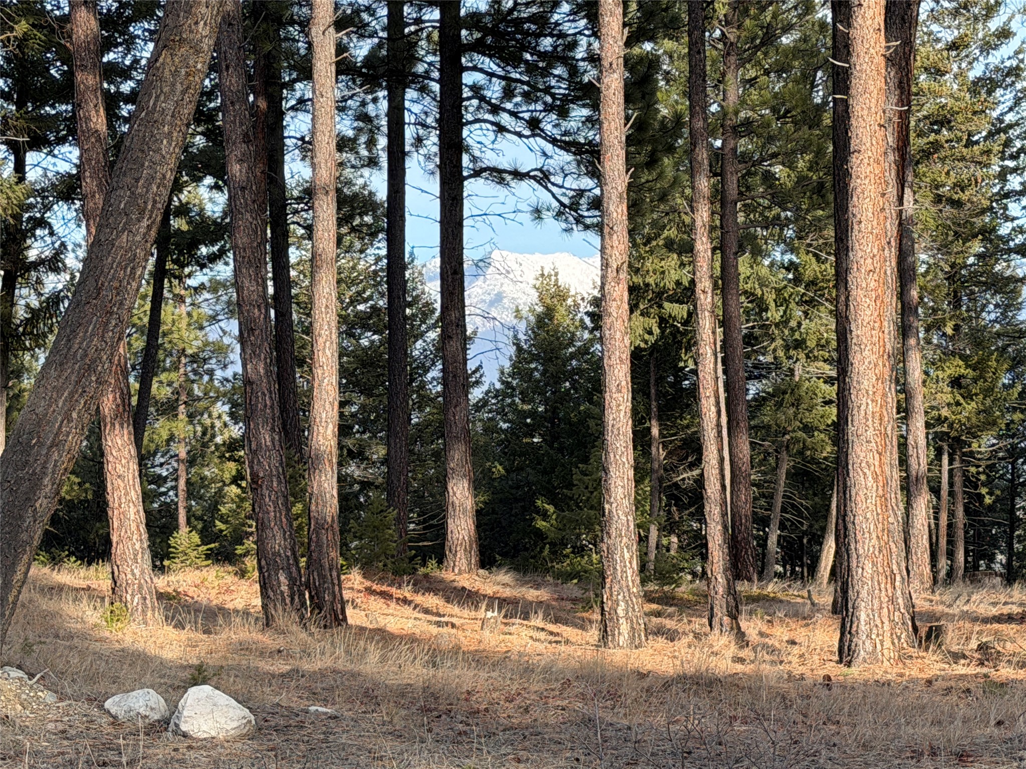 NHN Hillandale Trail