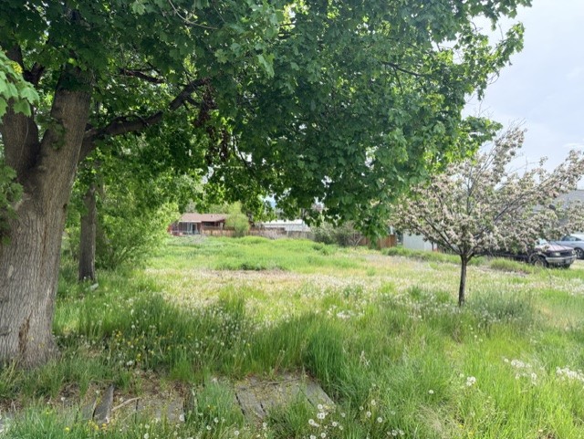 240 Daly Avenue