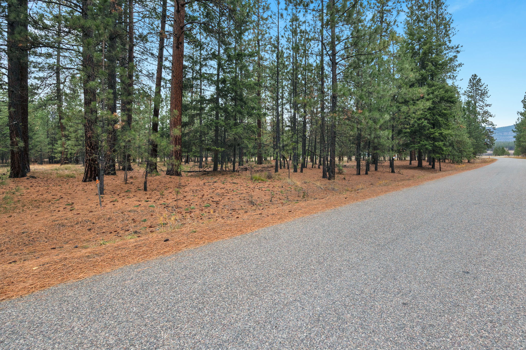 Nhn Swamp Creek Road