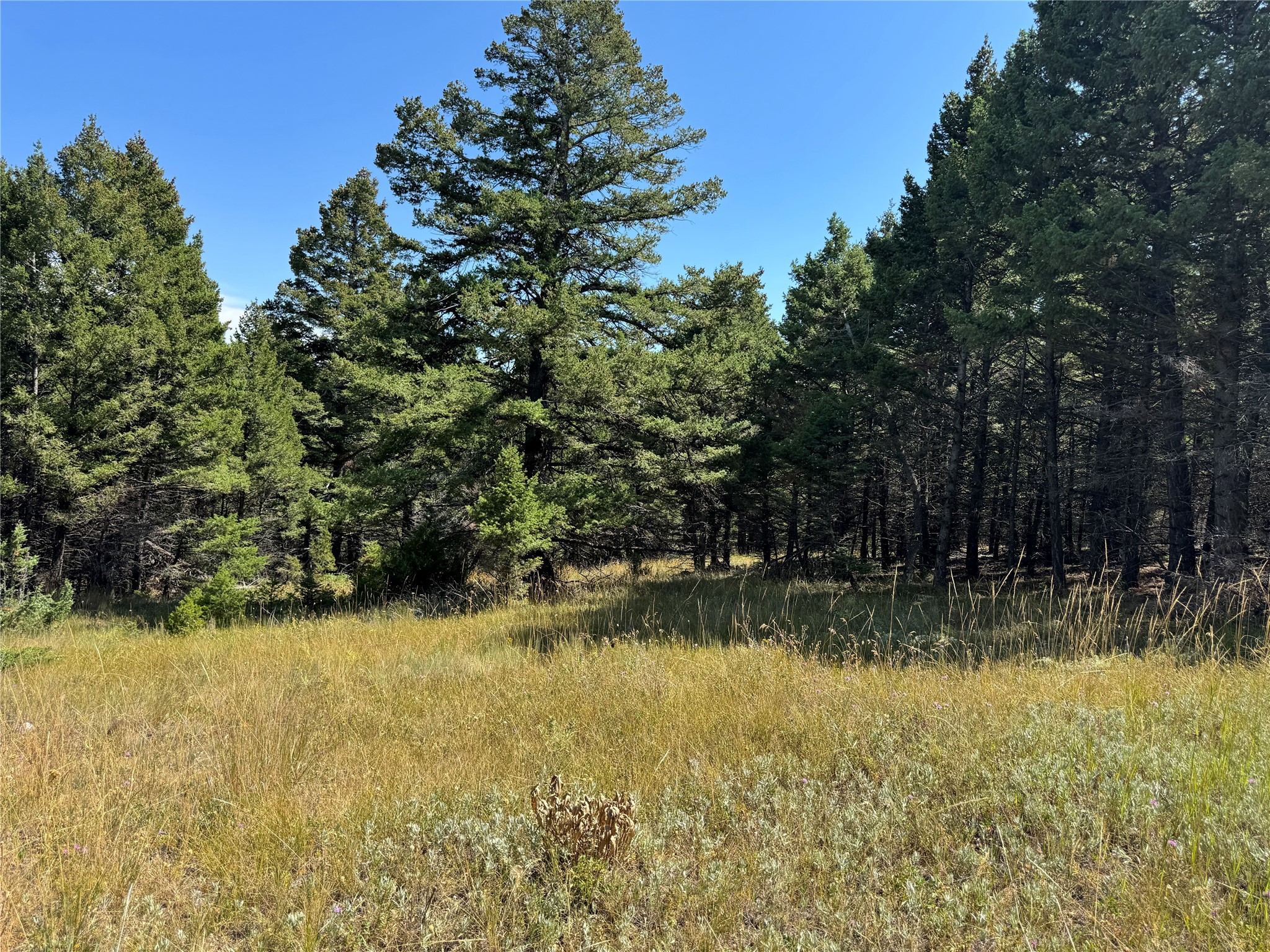 Lot 7 Turk Road
