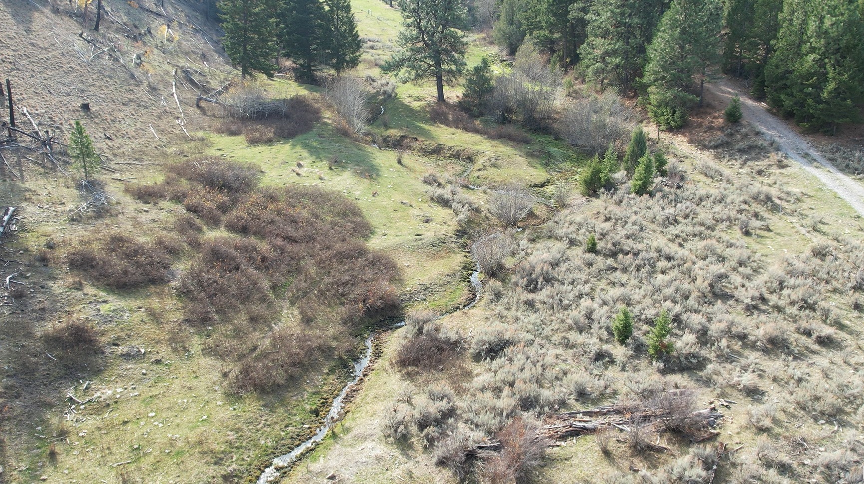 1 Tract, Bull Elk