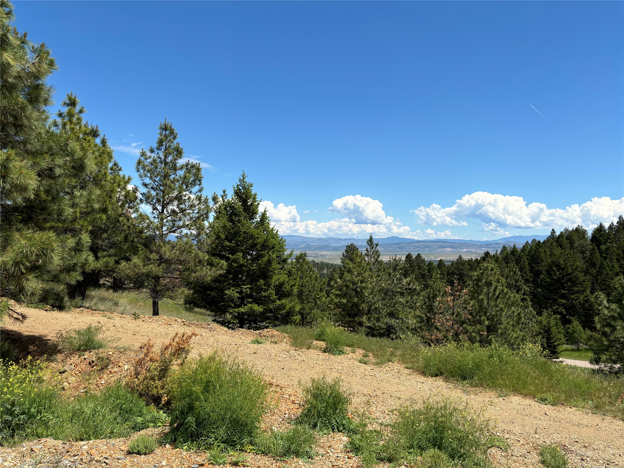 16 Mule Trail Road
