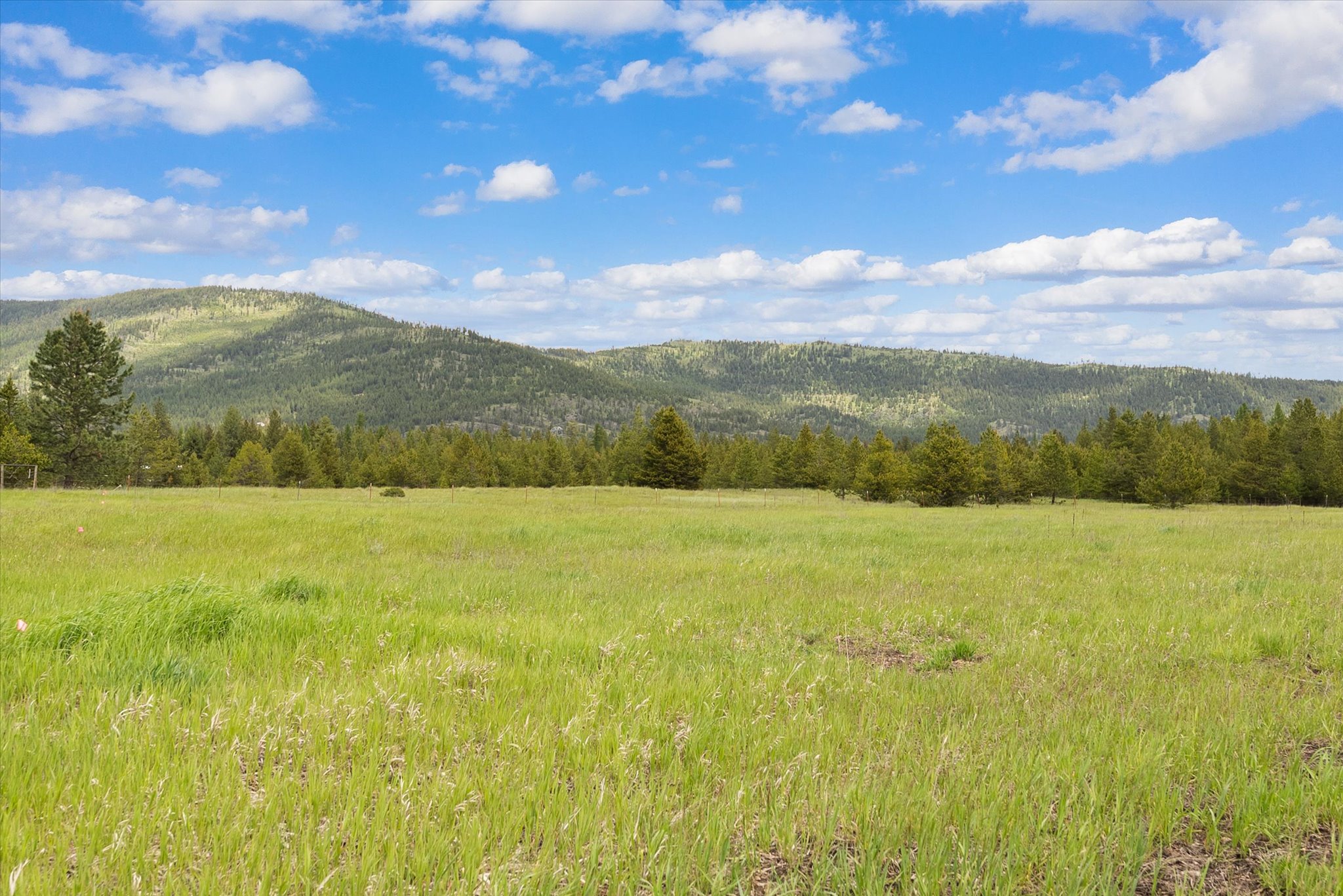 115 Marion Meadows Trail