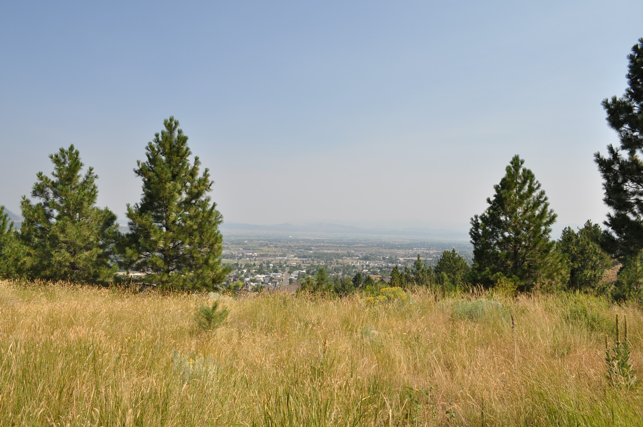 2095 Reber Road 1311