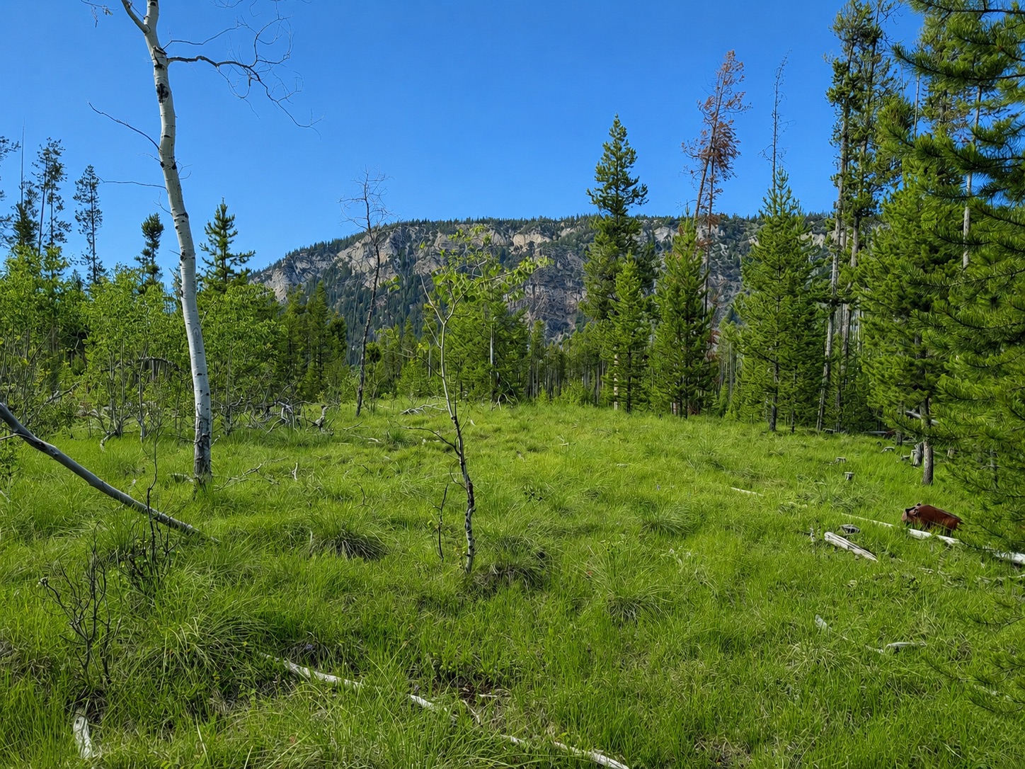 Lot 26 TBD Mitchell Drive