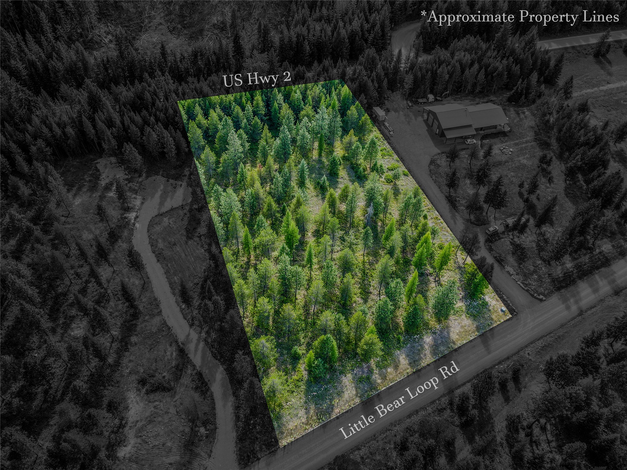 NHN Little Bear Loop