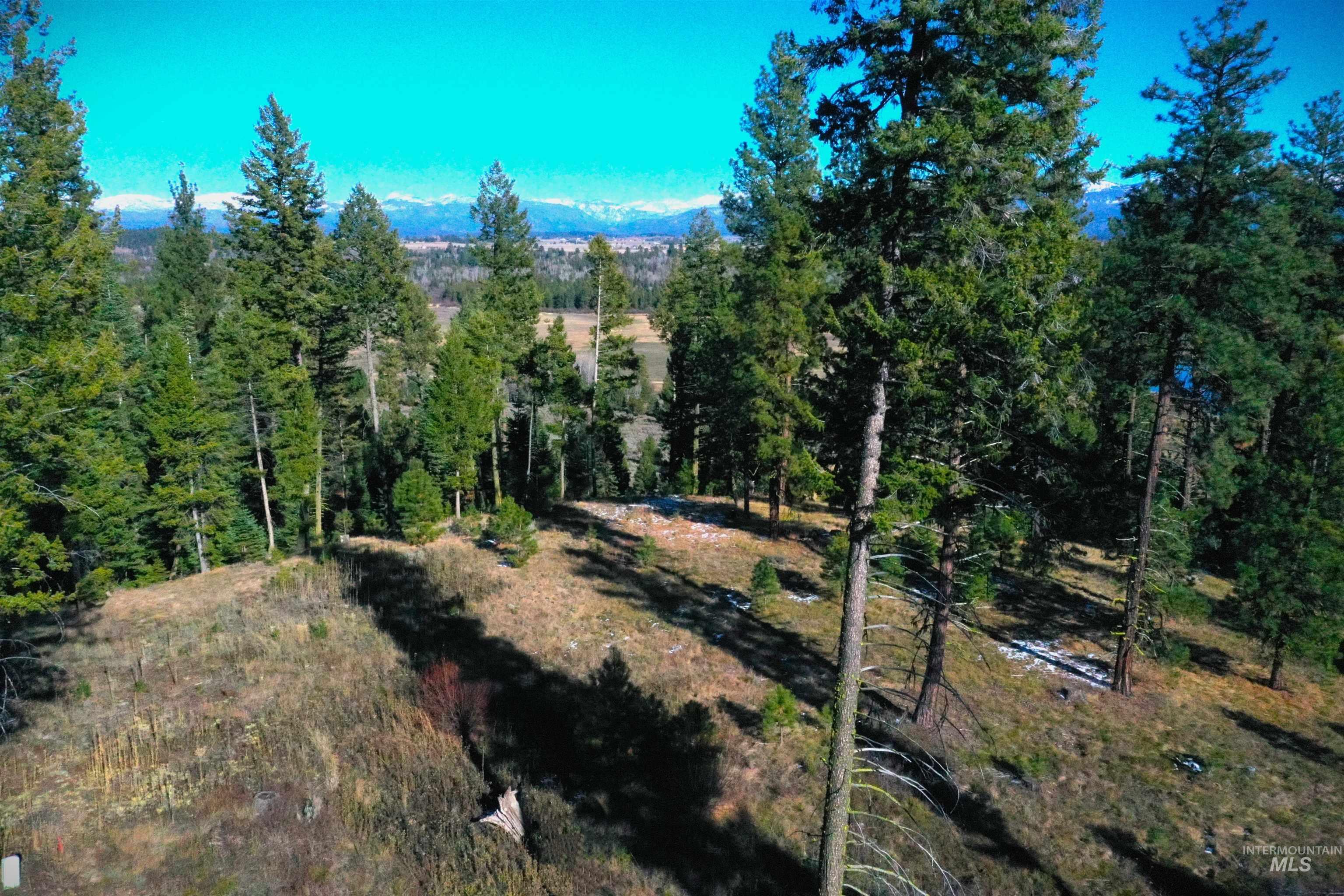 Lot 3 Bella View Drive, McCall ID 83638