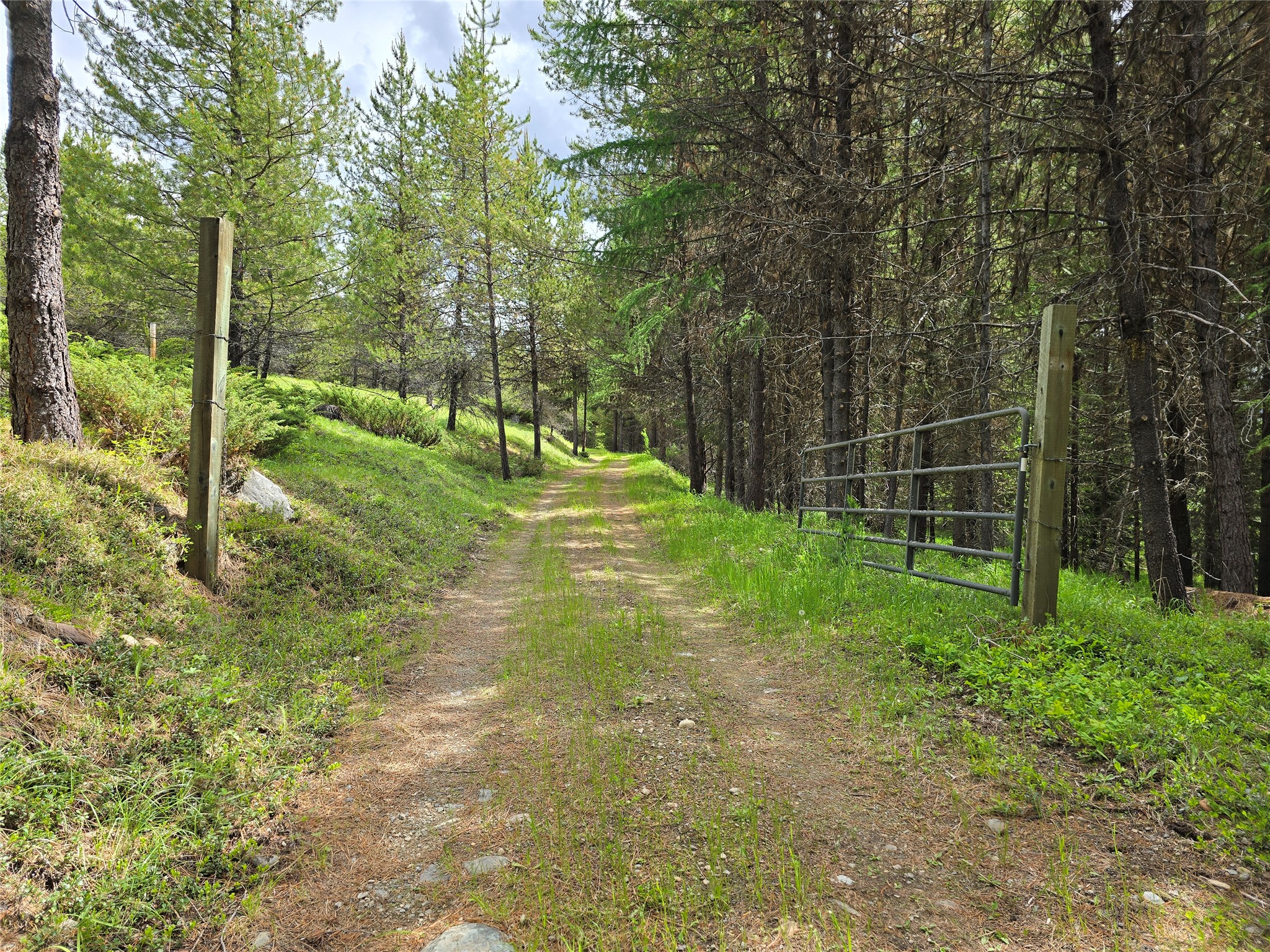 TBD Yaak River Road