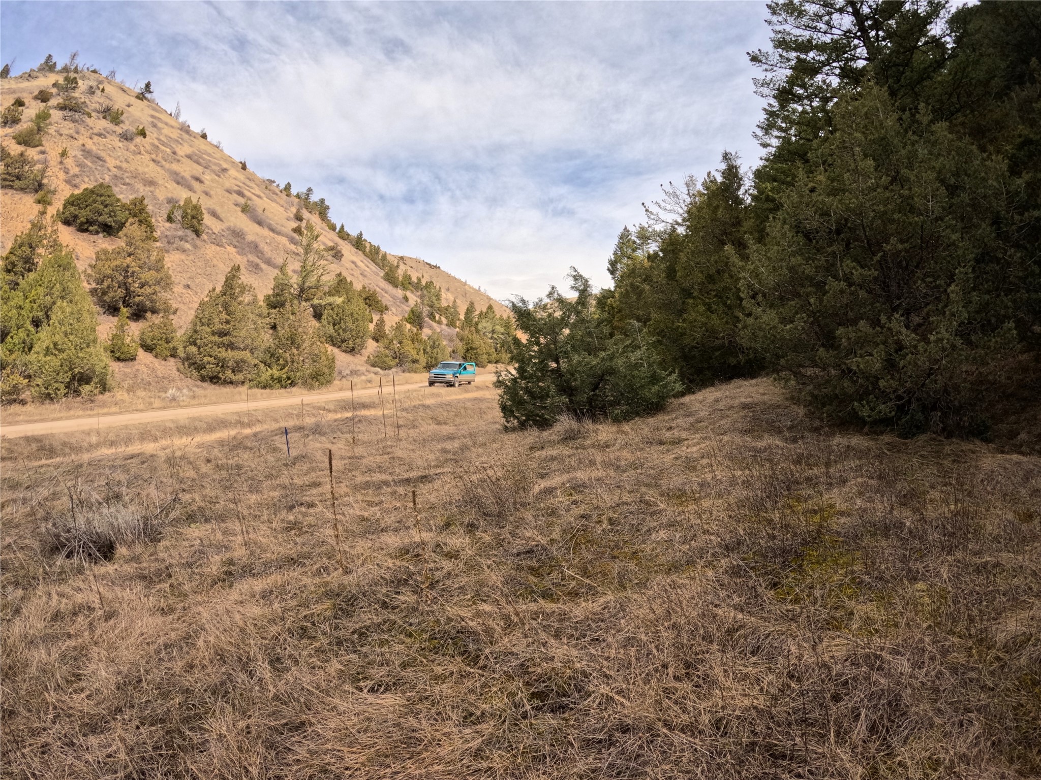 NHN Pole Gulch Road