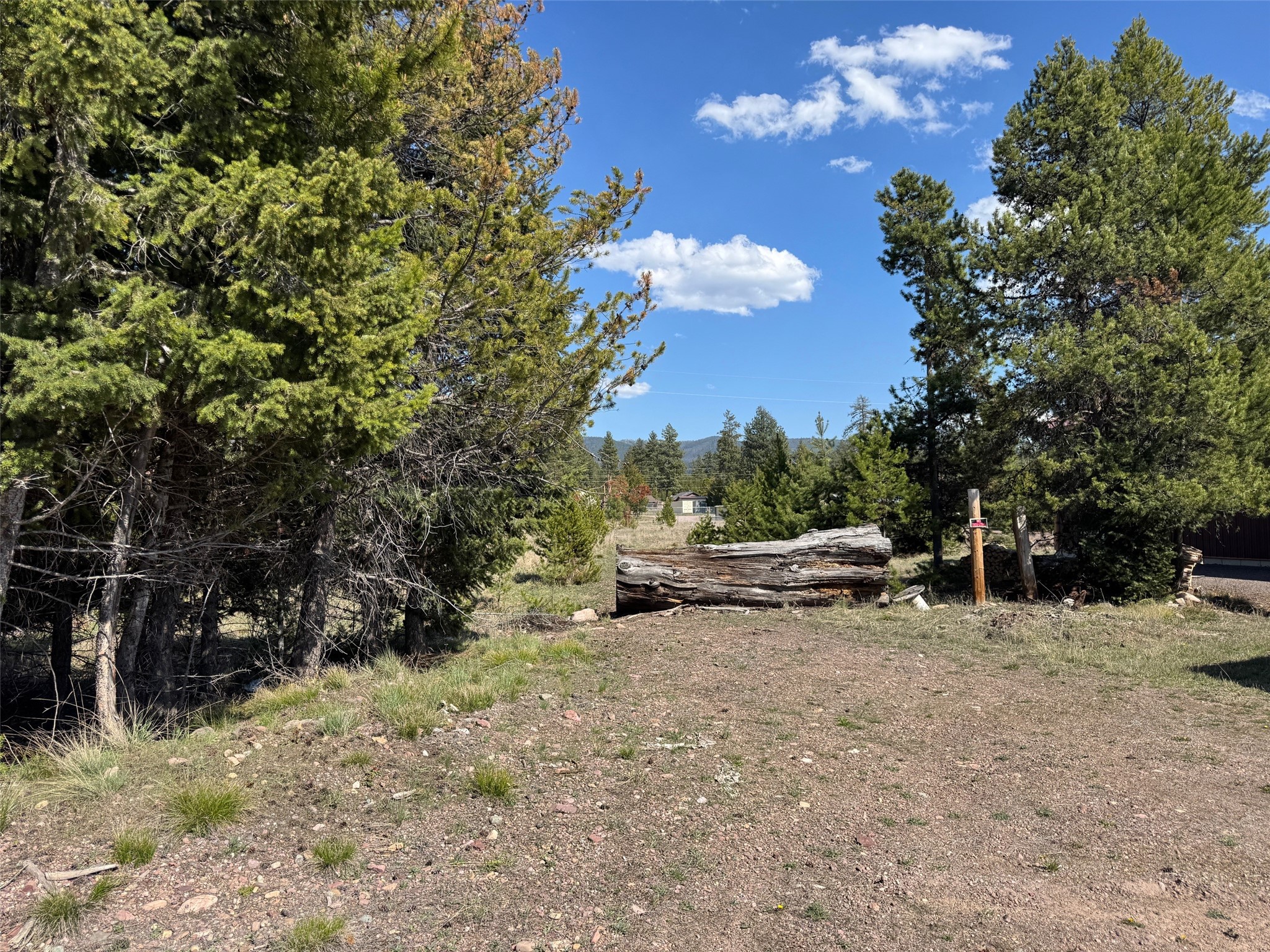 NHN Pine Drive