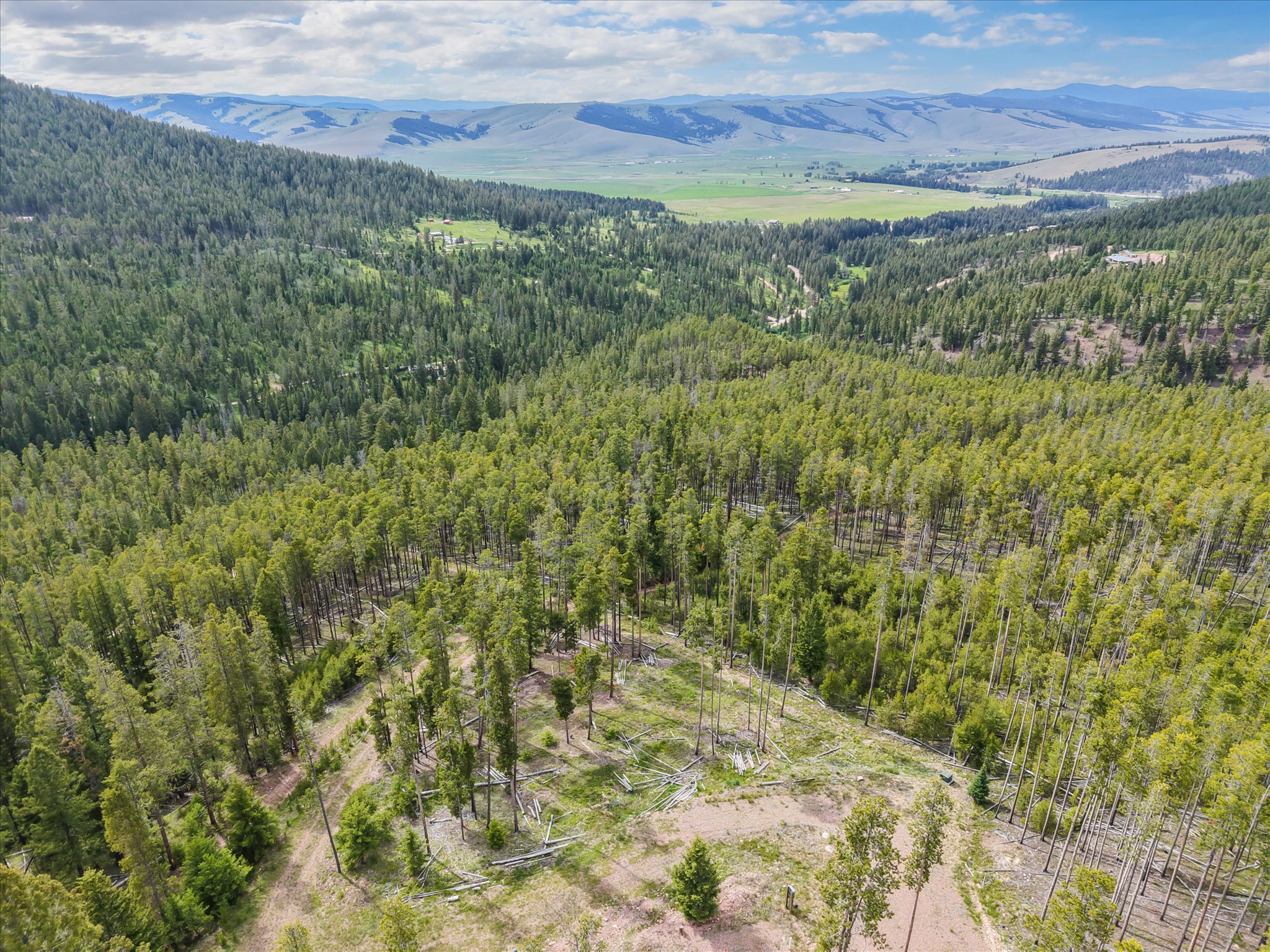 Lot 3 Georgetown Lake Estates