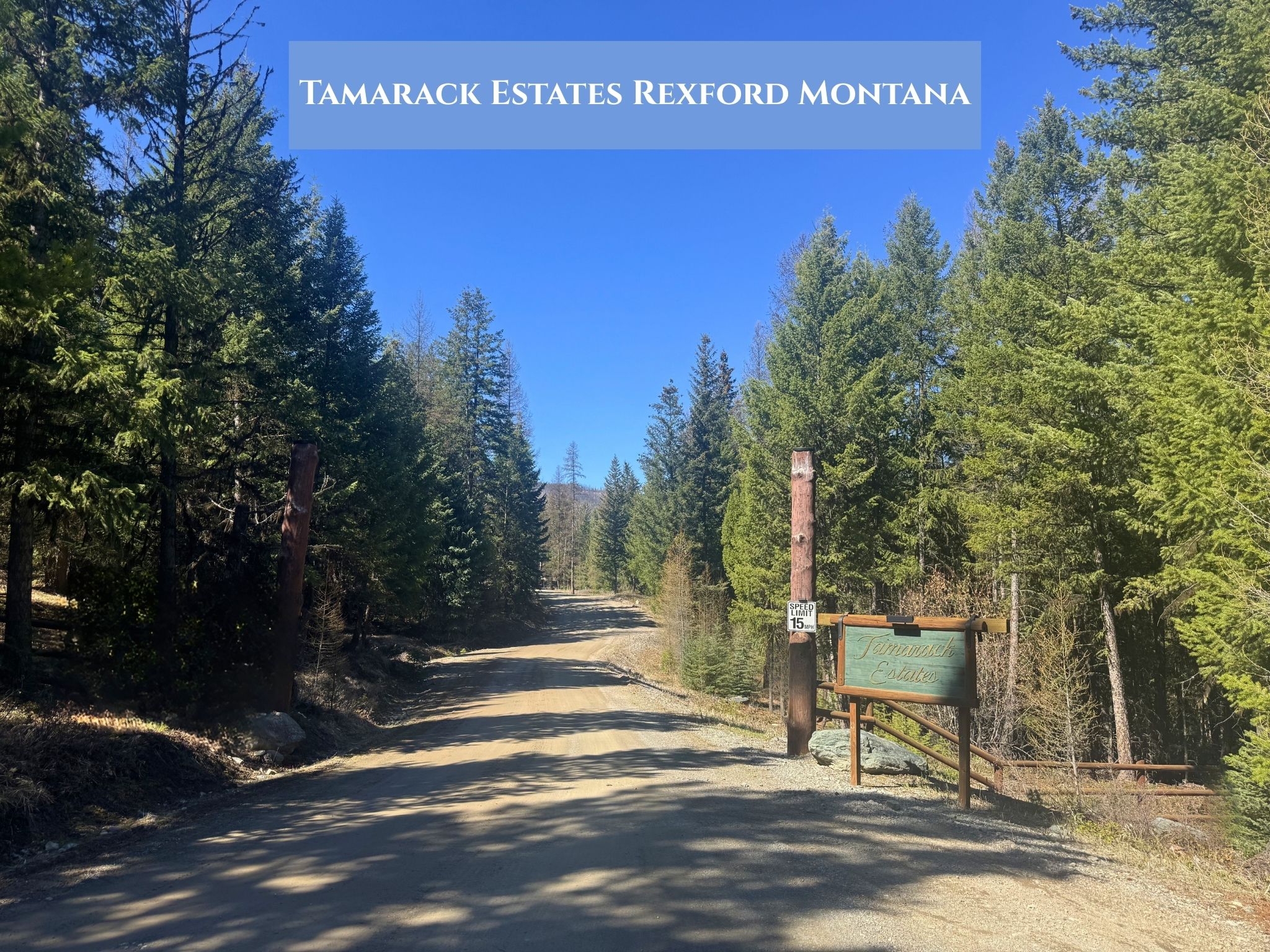 766 and 854 Tamarack Lane