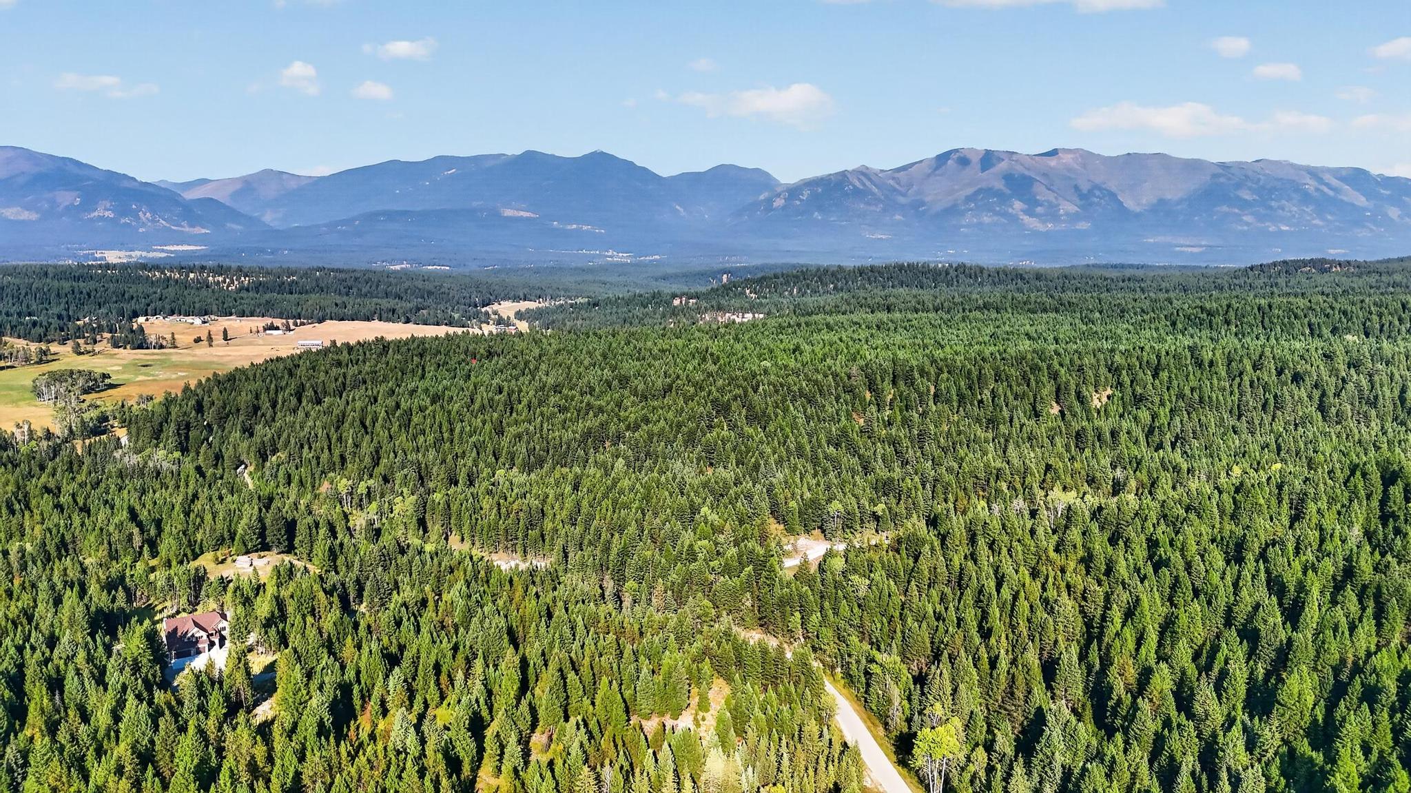 LOT 1 Forest Ridge Road