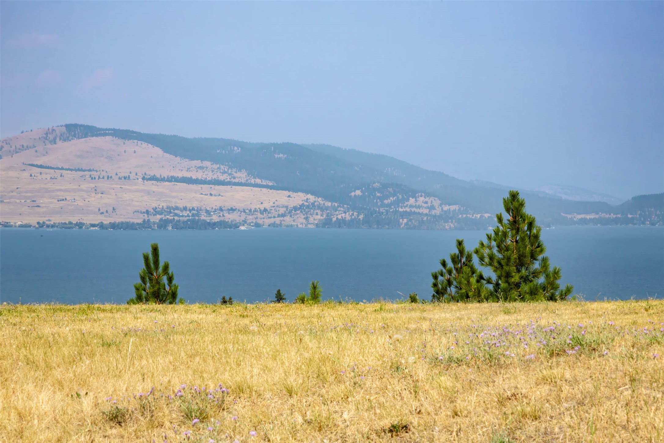 NHN Long Lake Drive