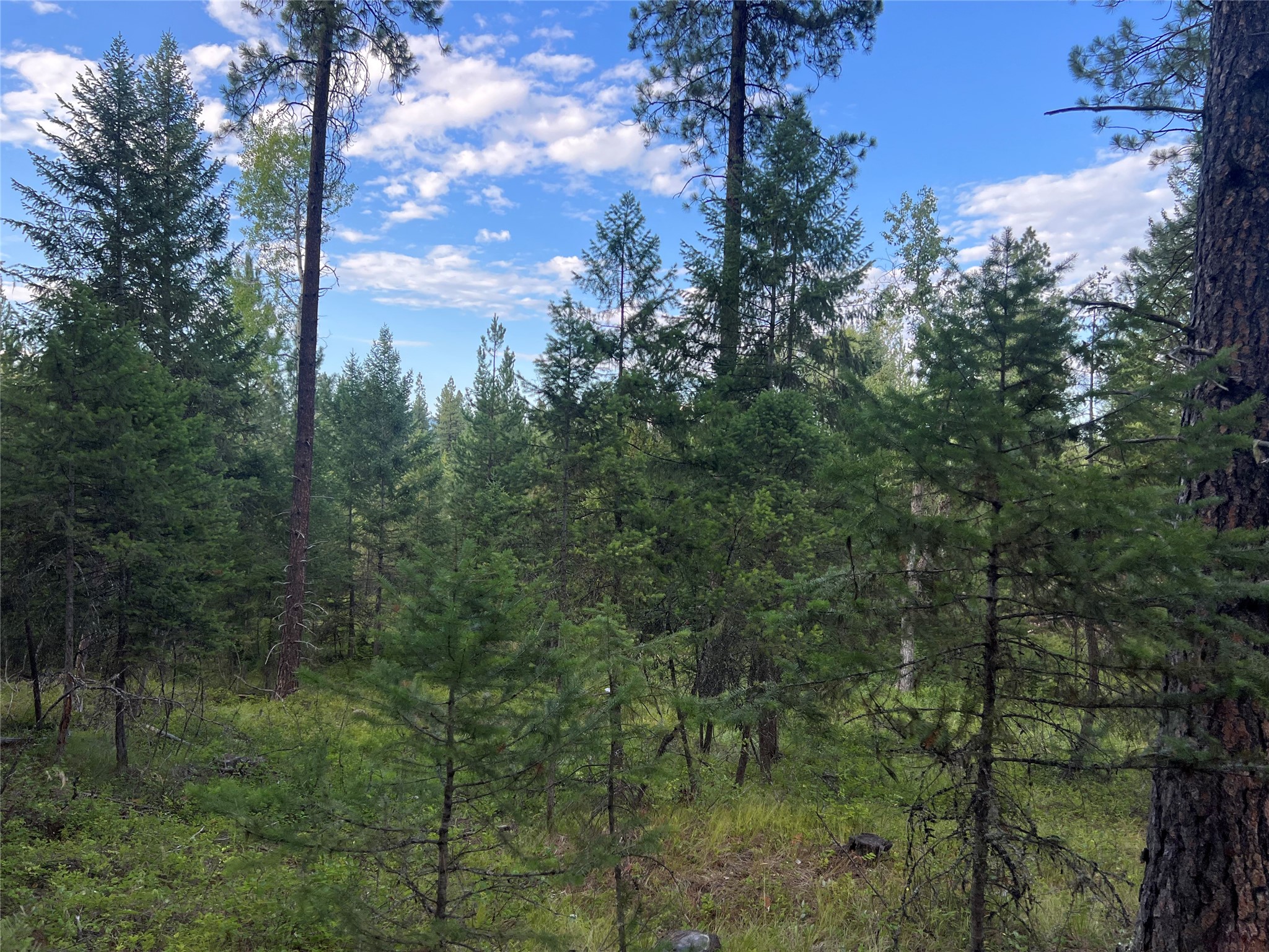 TBD Granite Lake Road 6