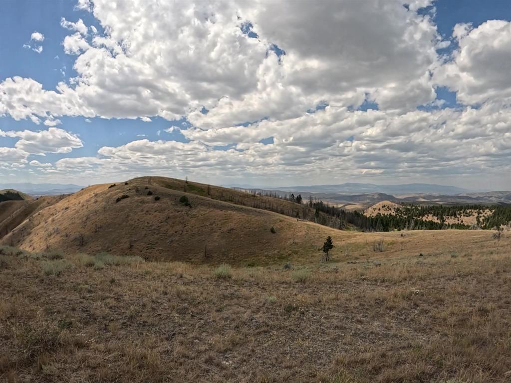 402 Lightning Ridge Trail