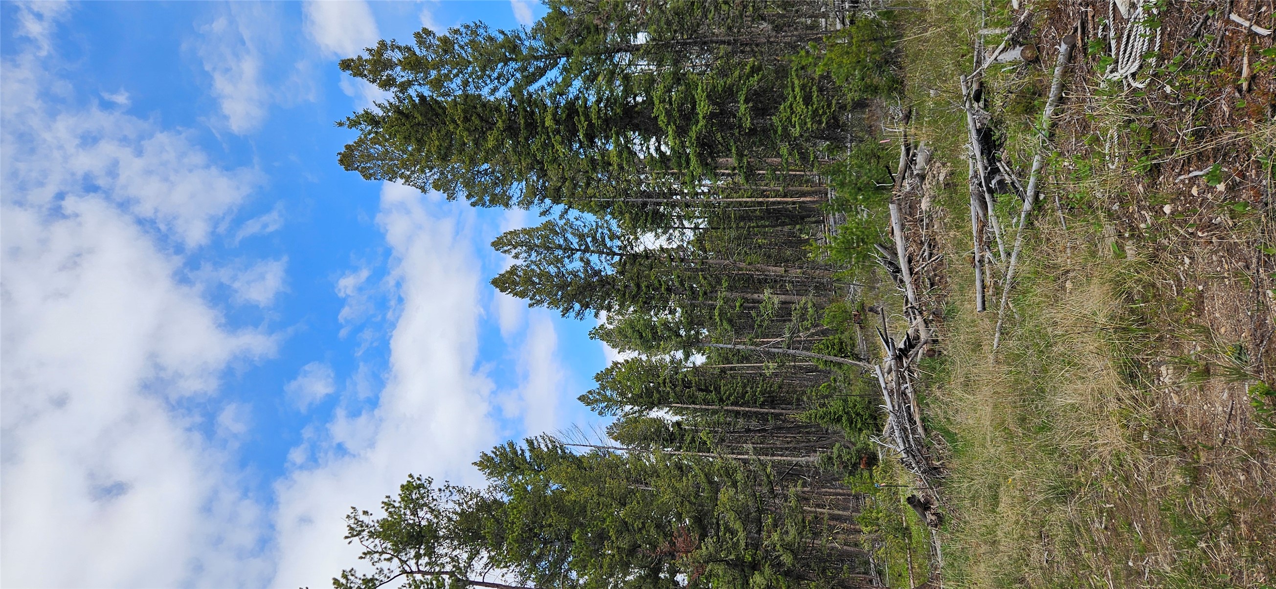 000 Bear Gulch Road