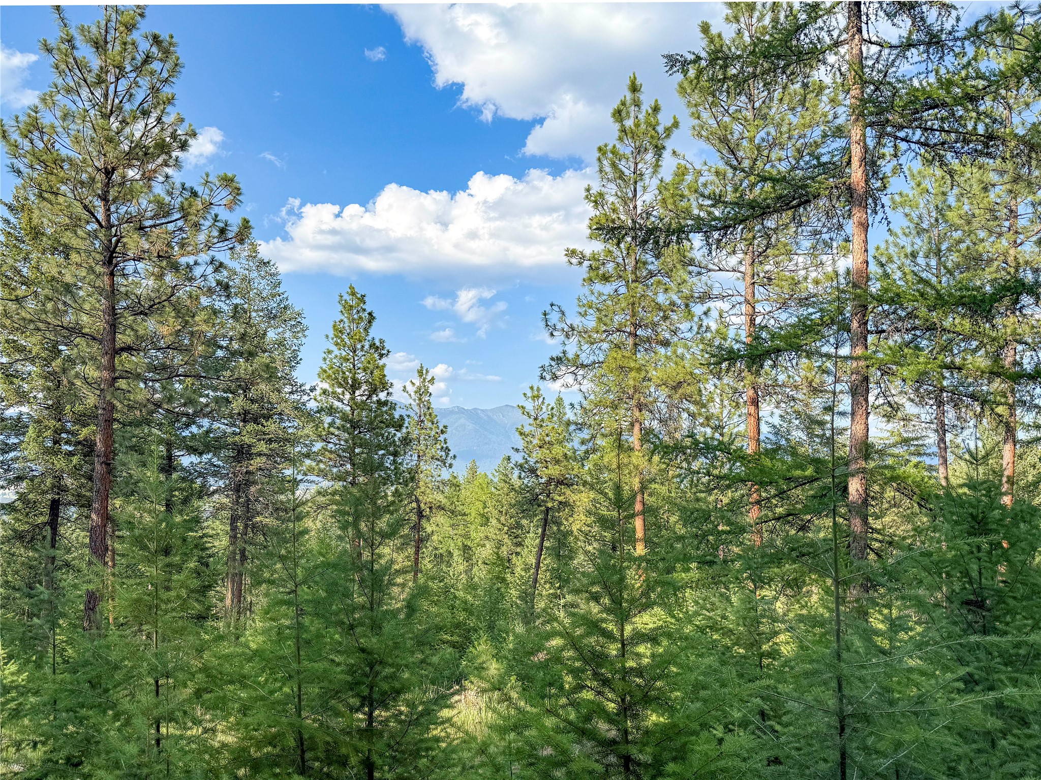 148 Tiny Acres Trail
