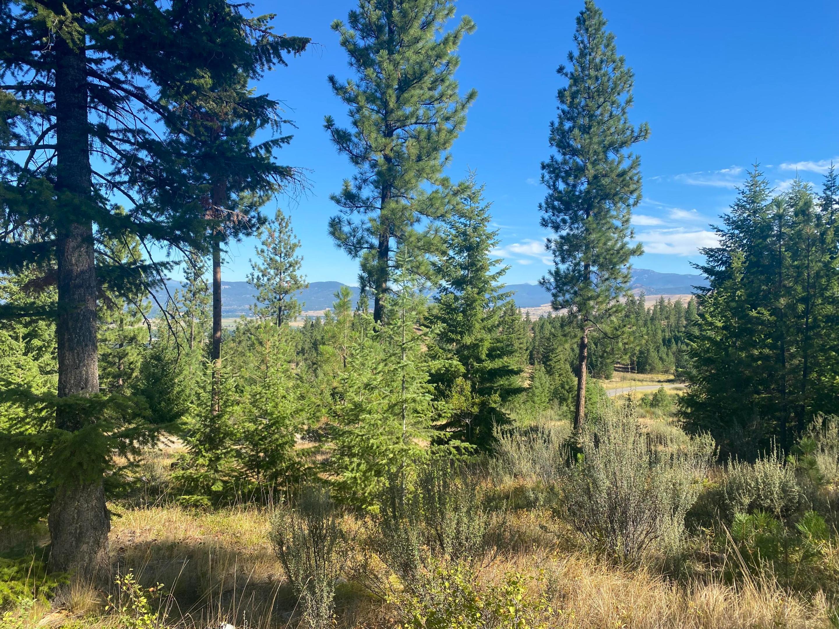 Lot 27 Bighorn Bluff