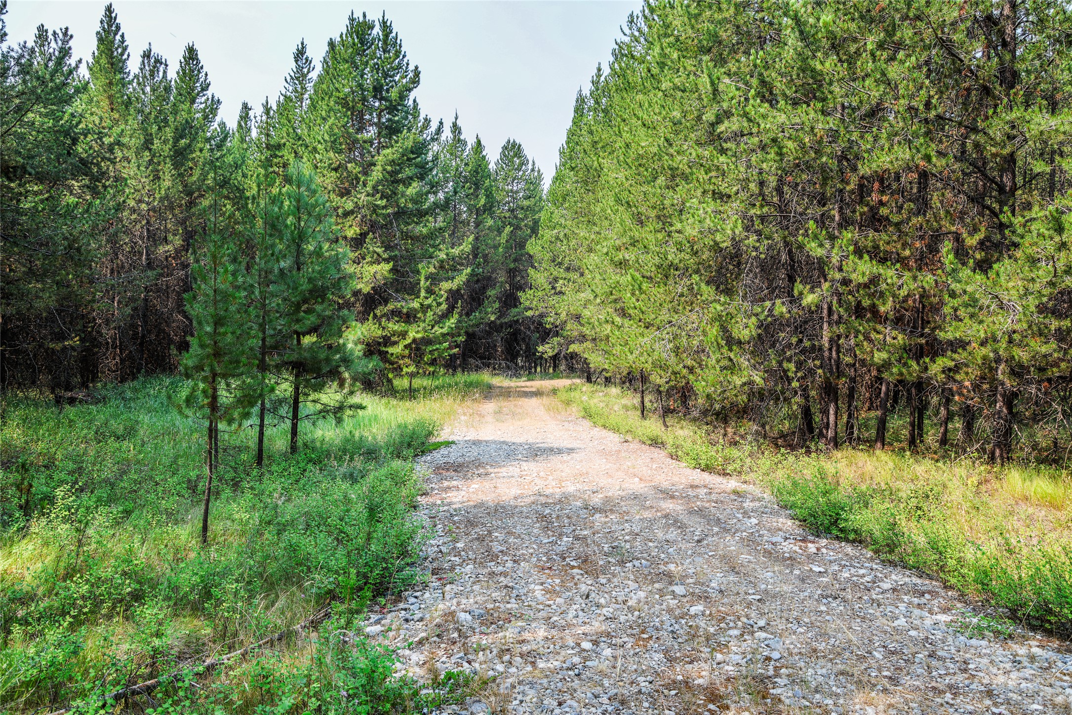 195 Osprey Way