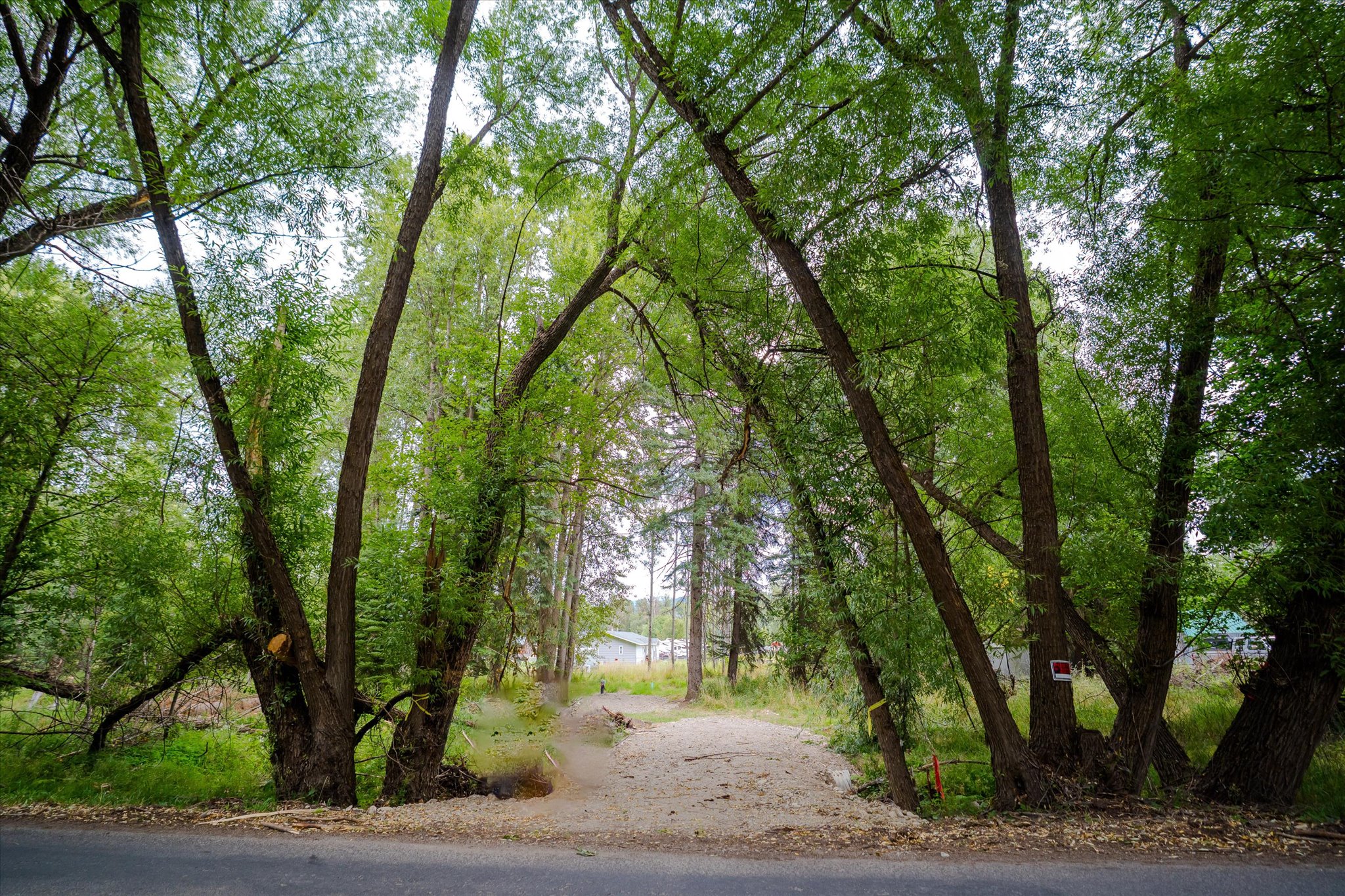 98 Dome Mountain Avenue