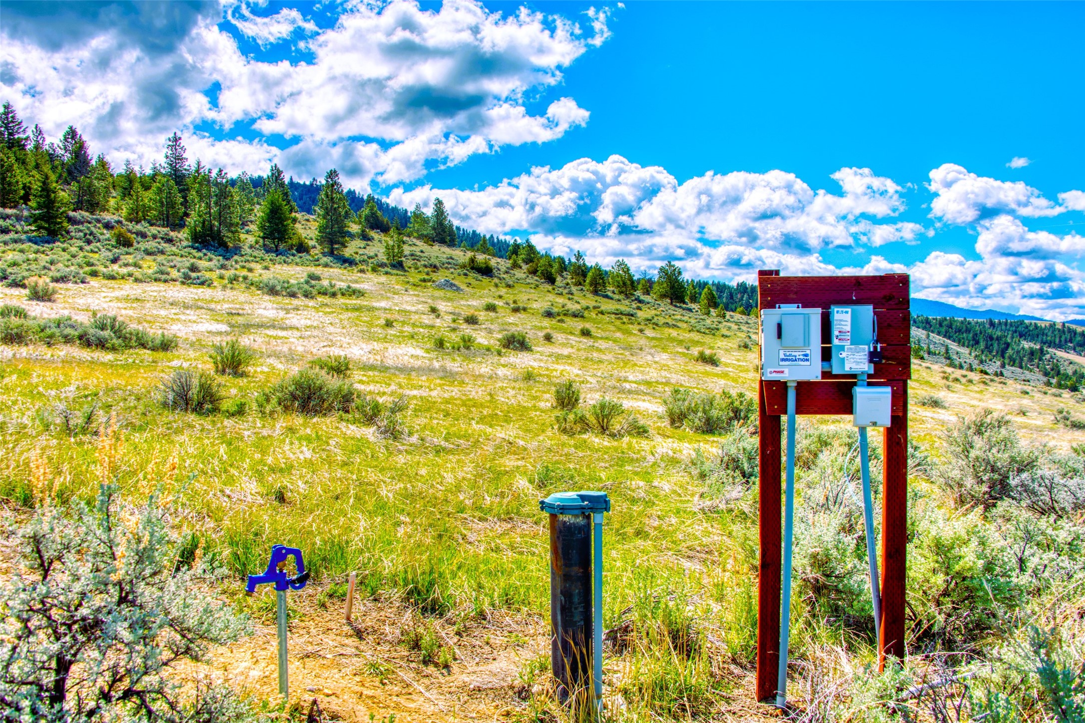 2136 Blue Sage Trail