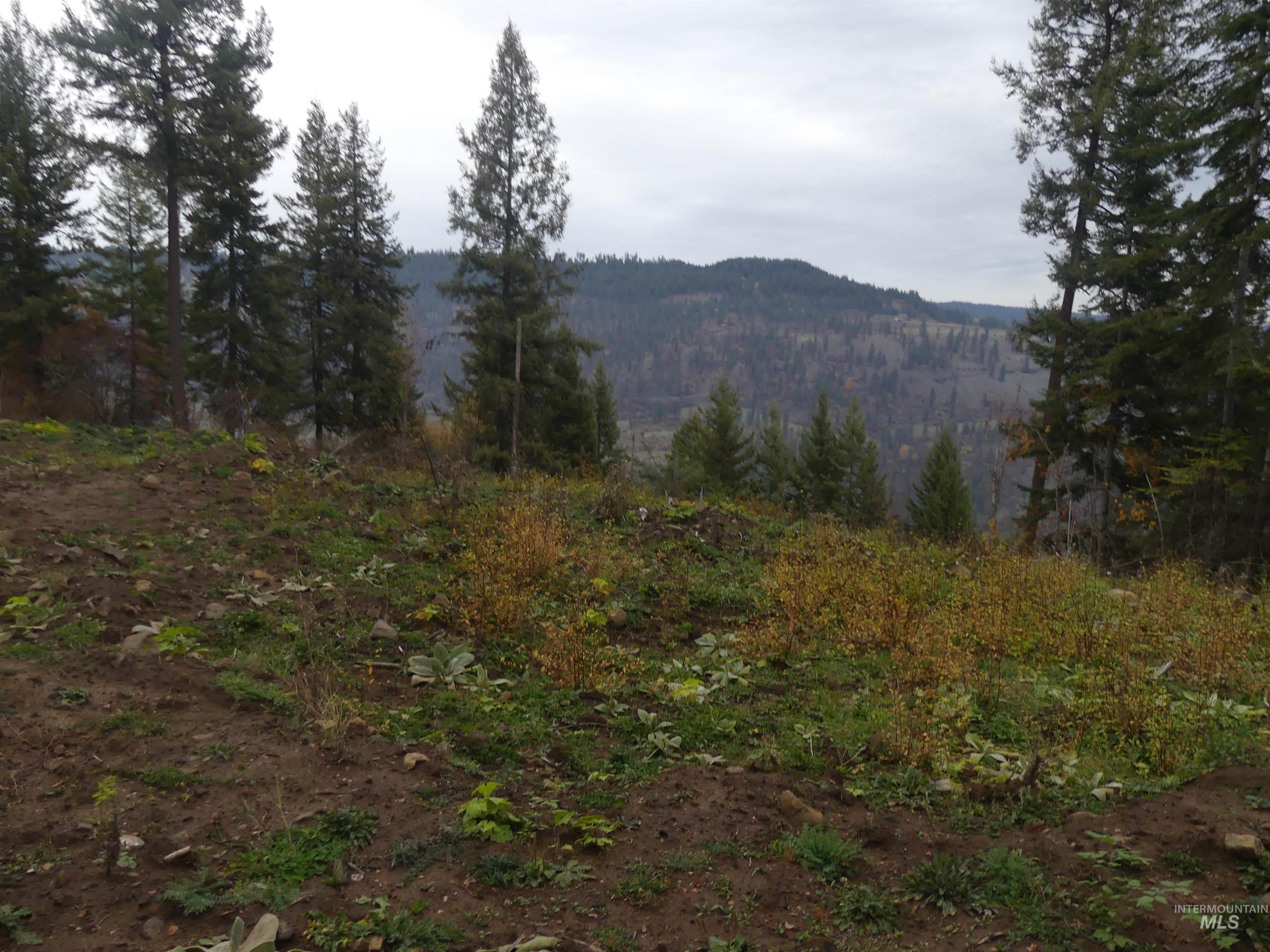 1684 Tranquil Lane (#1), Orofino ID 83544