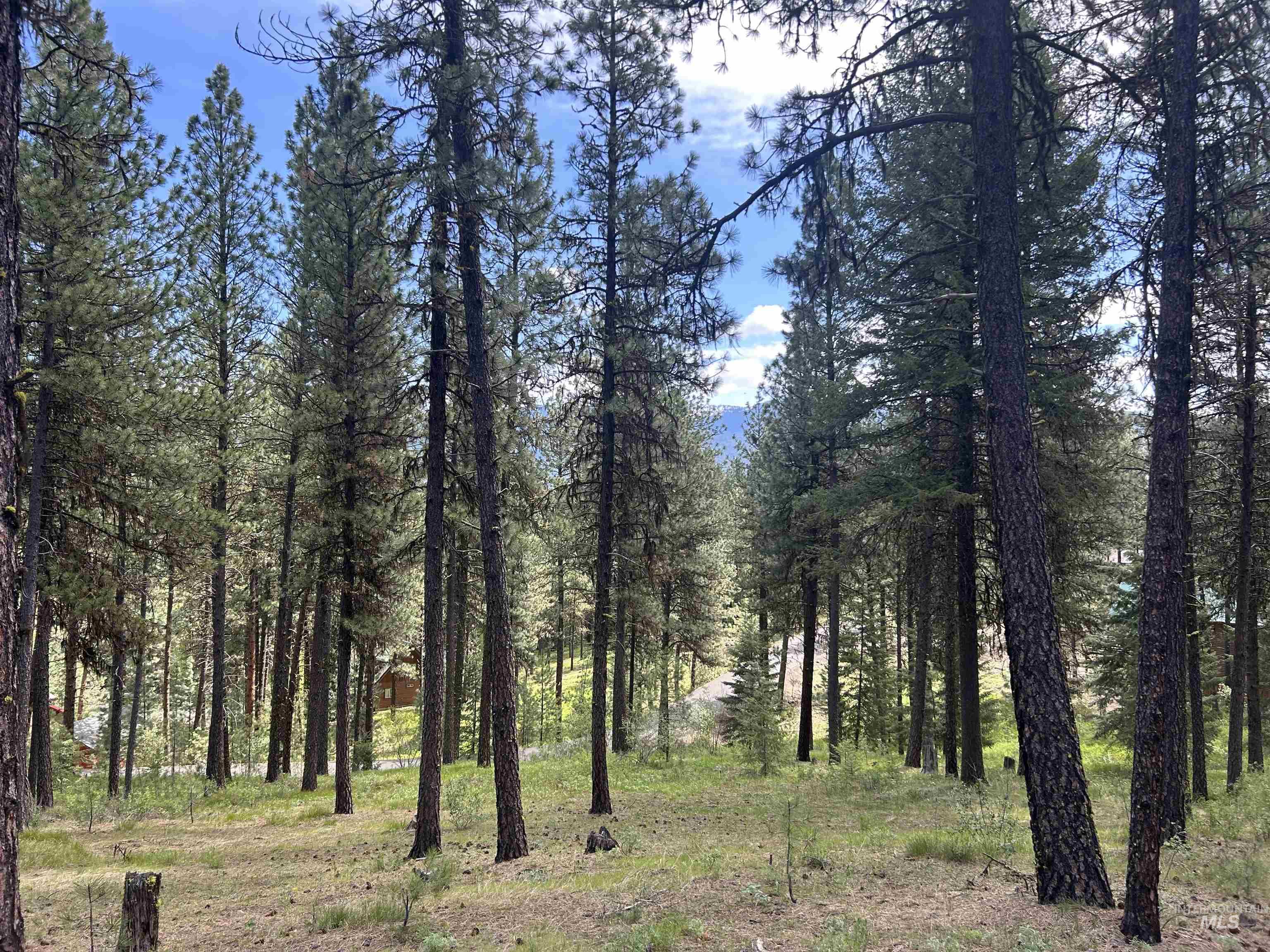 Syringa Drive, New Meadows ID 83654