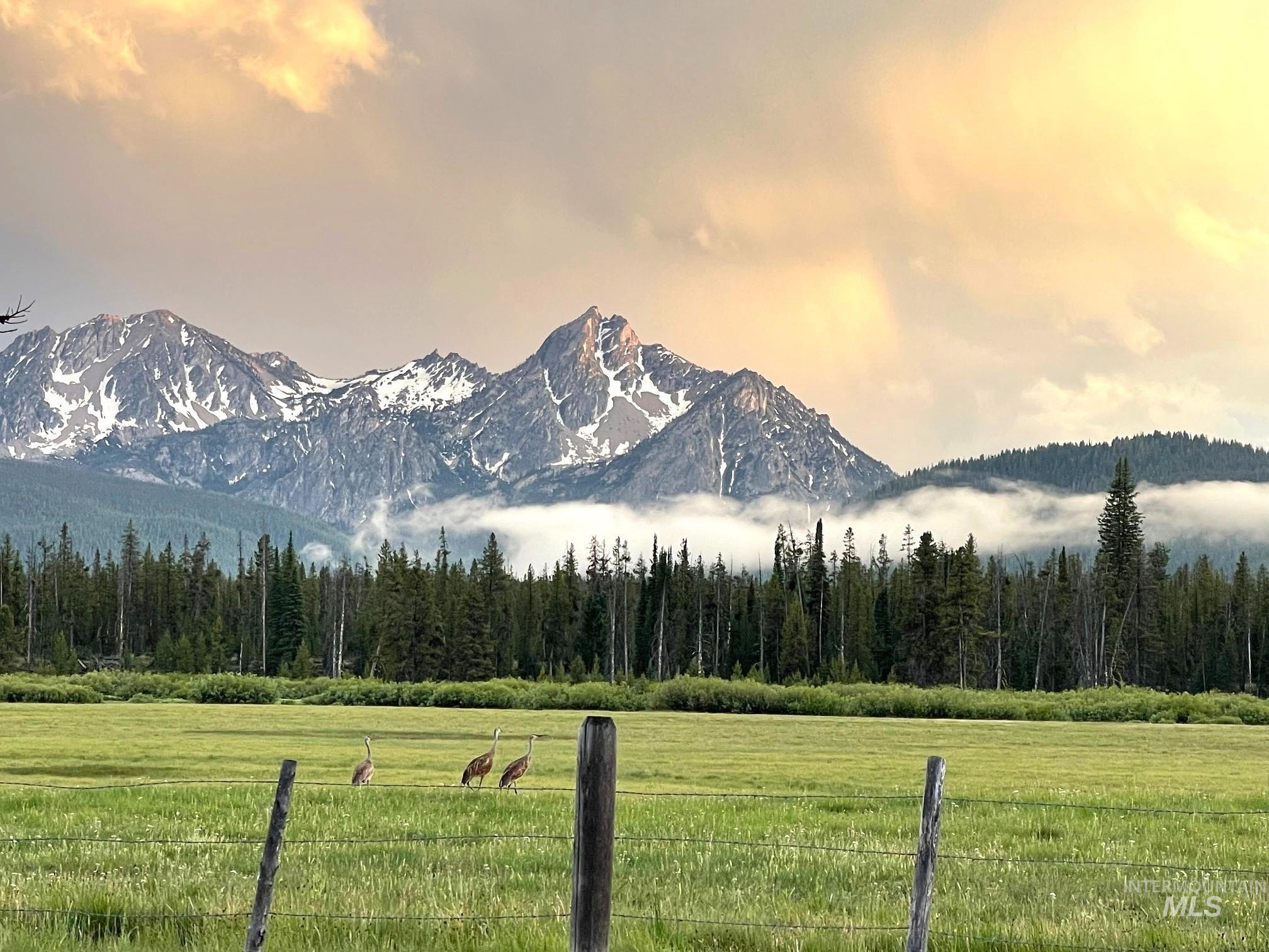 TBD Hwy 21, Stanley ID 83278