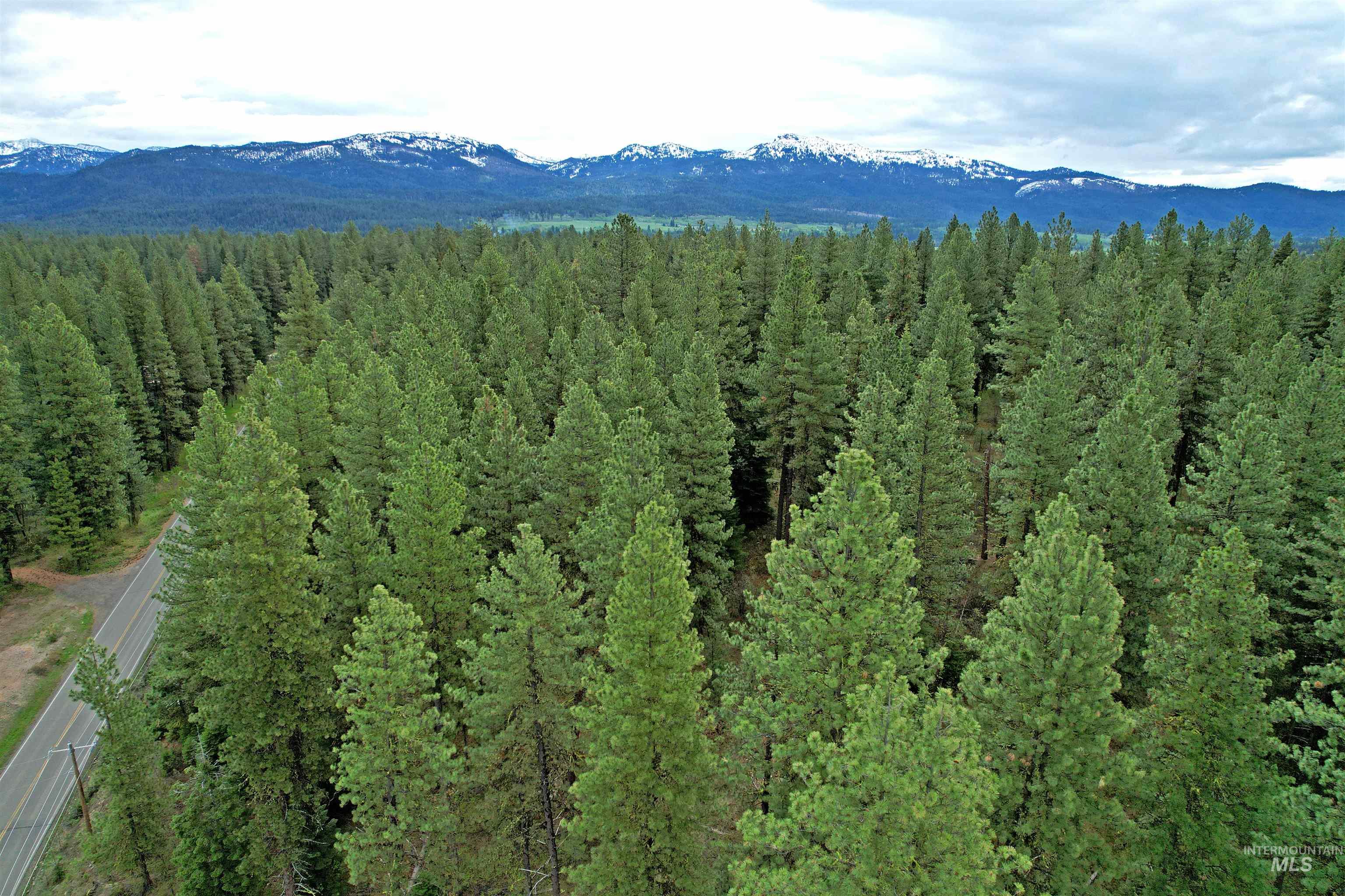 TBD 2 Elo Road, McCall ID 83638