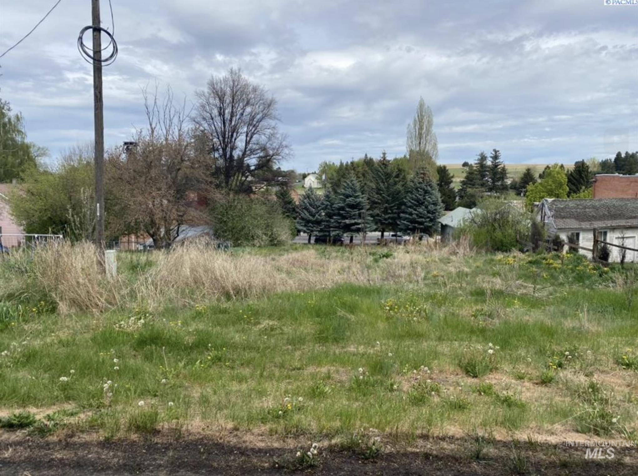 111 S High Street, Uniontown WA 99179