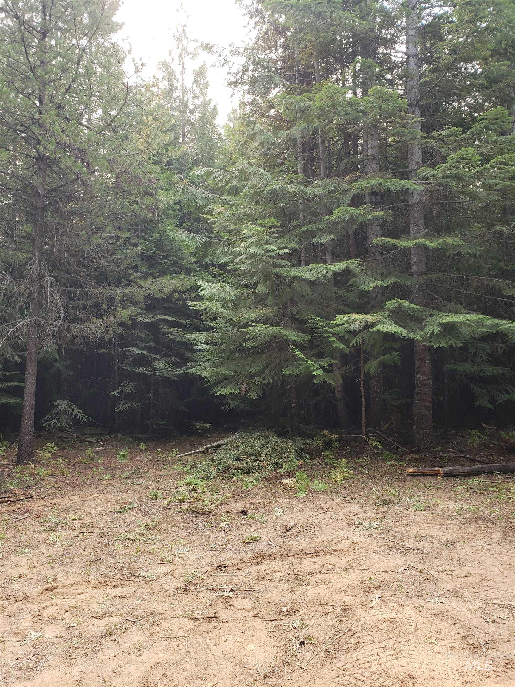 80 E Ridge Dr., St. Maries ID 83861