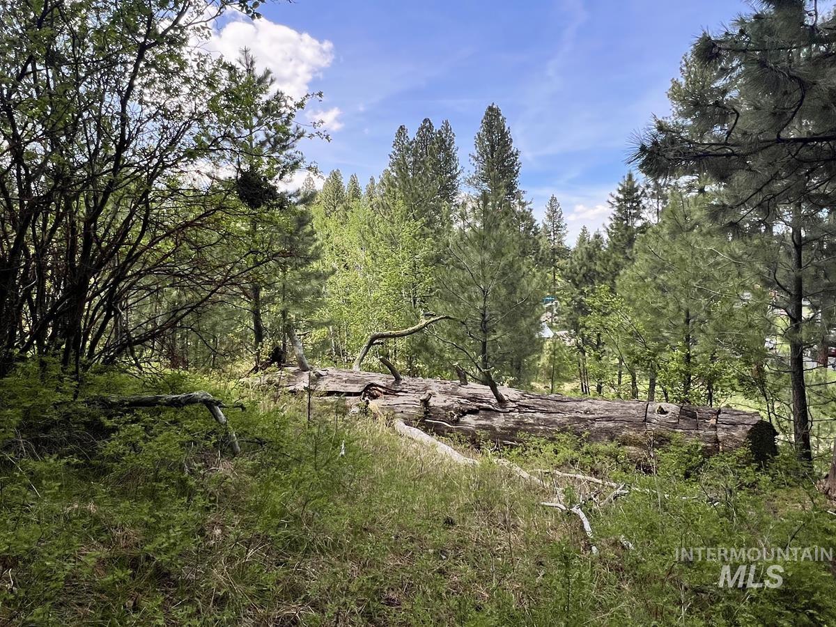 T75 LI Cabarton Road, Cascade ID 83611