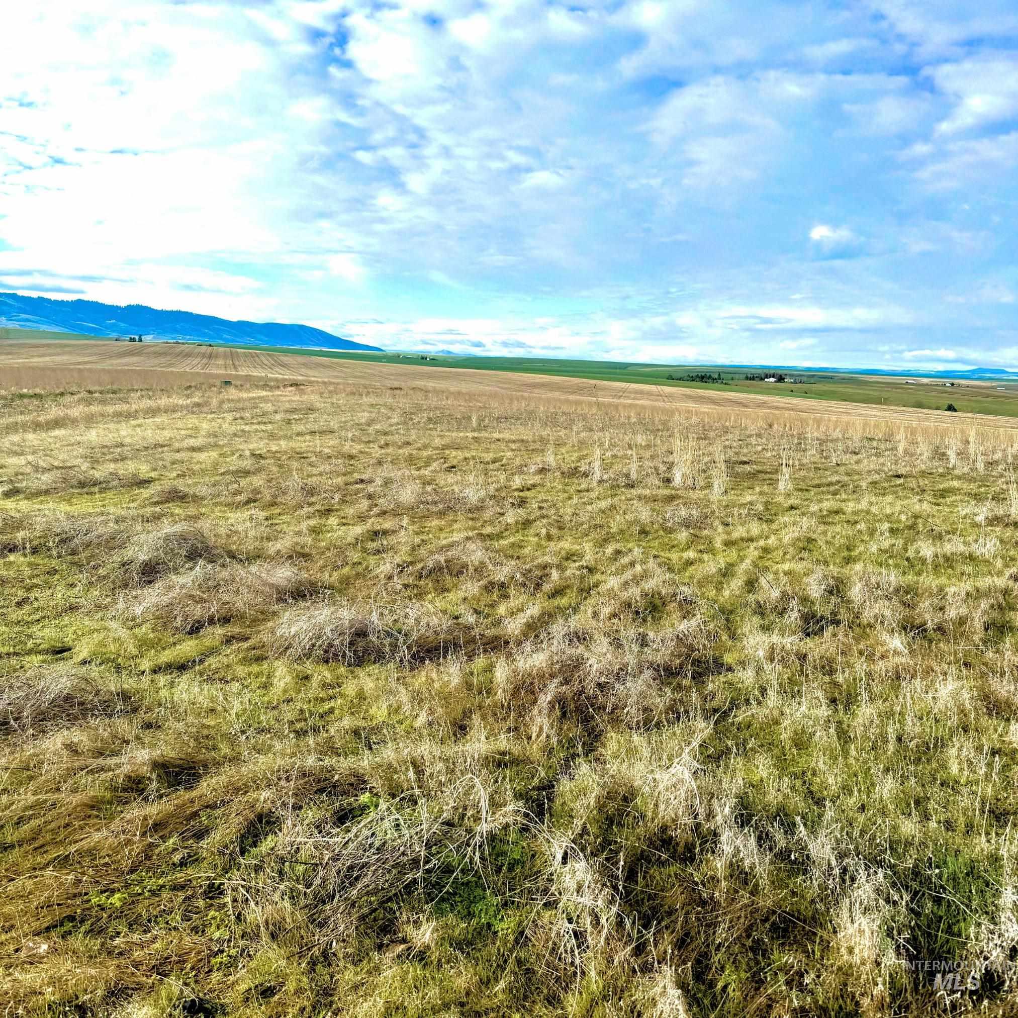 TBD Lot 17 A Pheasant Loop Rd, Lewiston ID 83501-8040