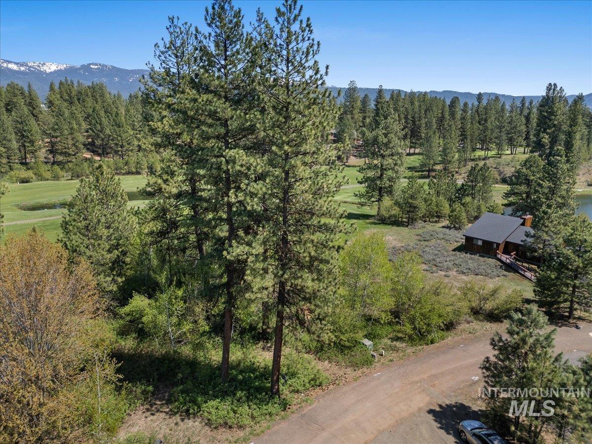 L5 Ponderosa Court, New Meadows ID 83654
