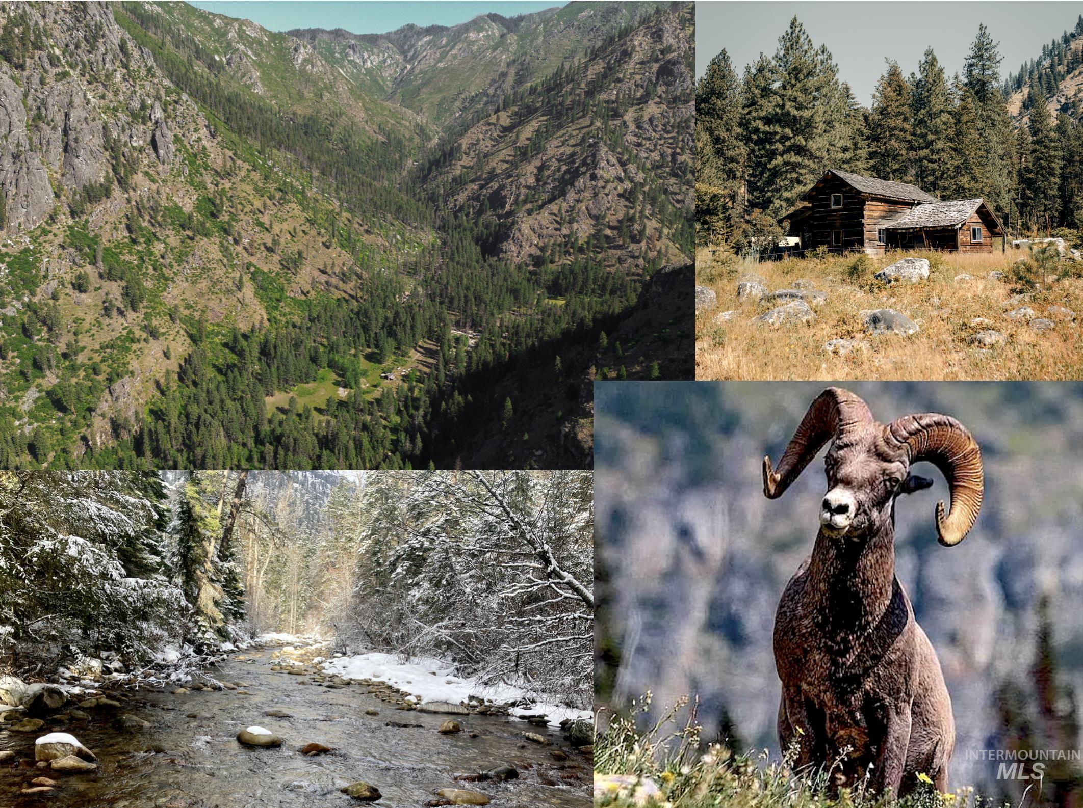 3869 Big Salmon River Rd, Riggins ID 83549