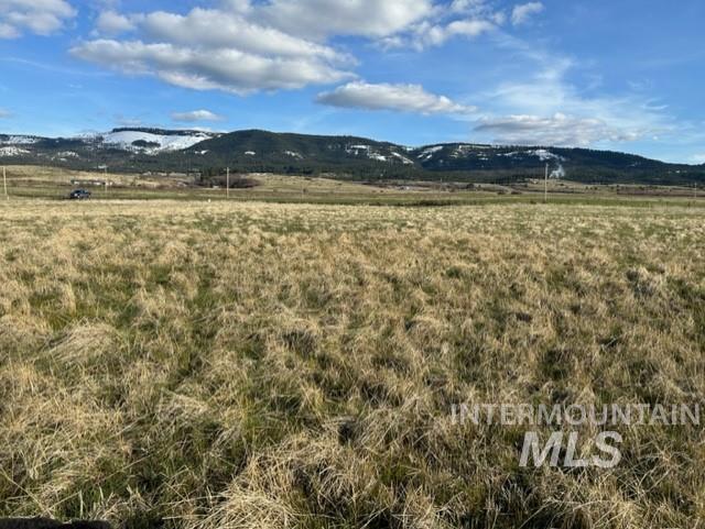 TBD Whitetail Dr, Grangeville ID 83530