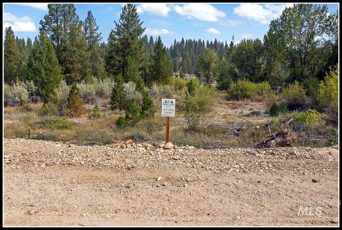 Lot 79 Lainey Lane, Idaho City ID 83631
