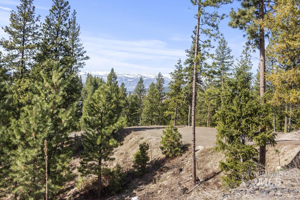 17 Tito Trail, Cascade ID 83611