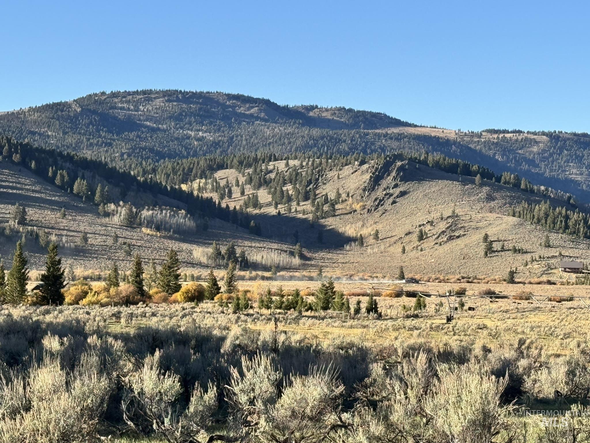 3600 W Red Rock Pass Rd, Island Park ID 83429