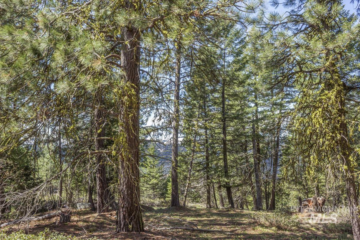 161 Little Donner Drive, Cascade ID 83611