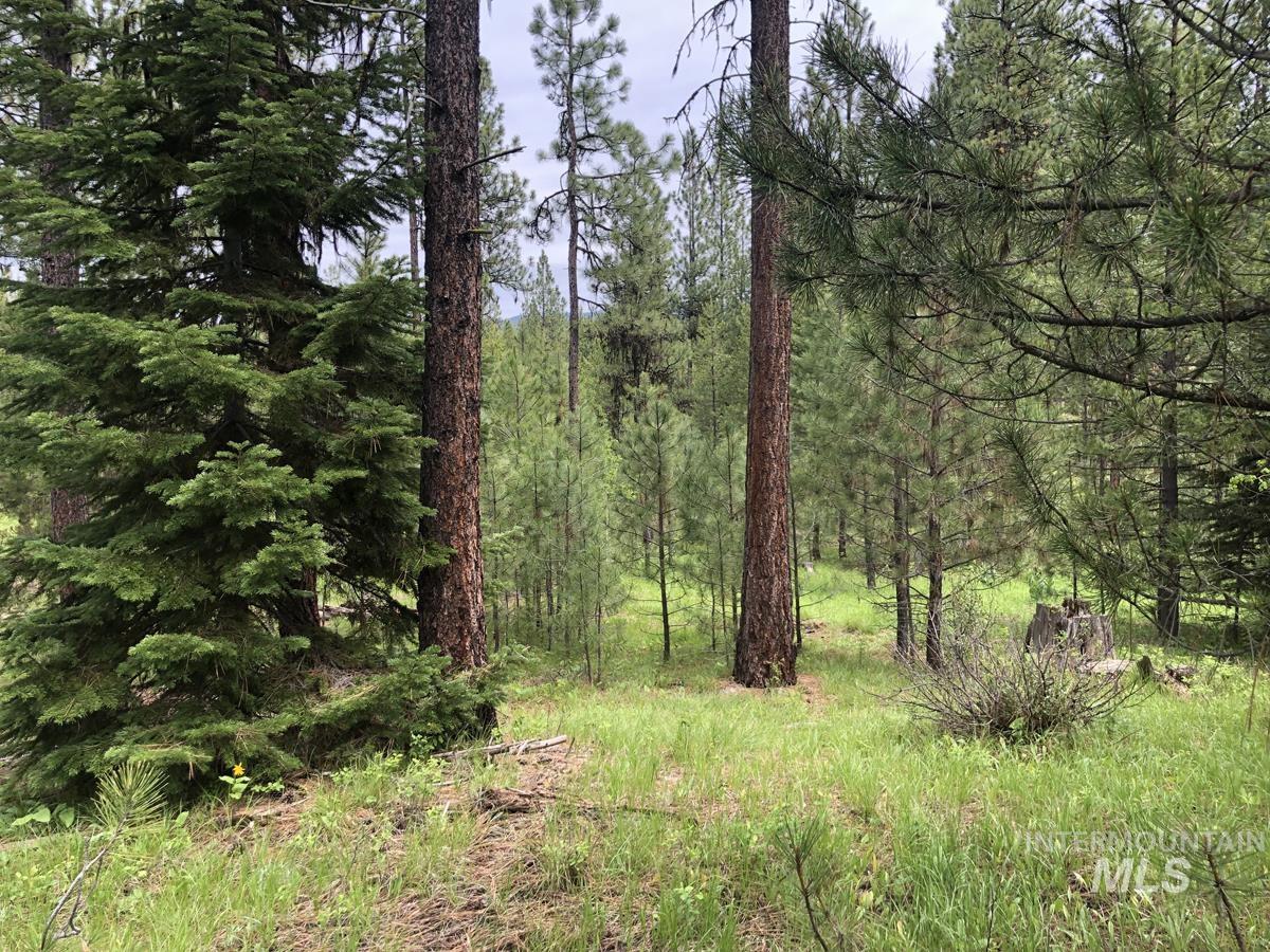L18 Silver Cloud Drive, Cascade ID 83611