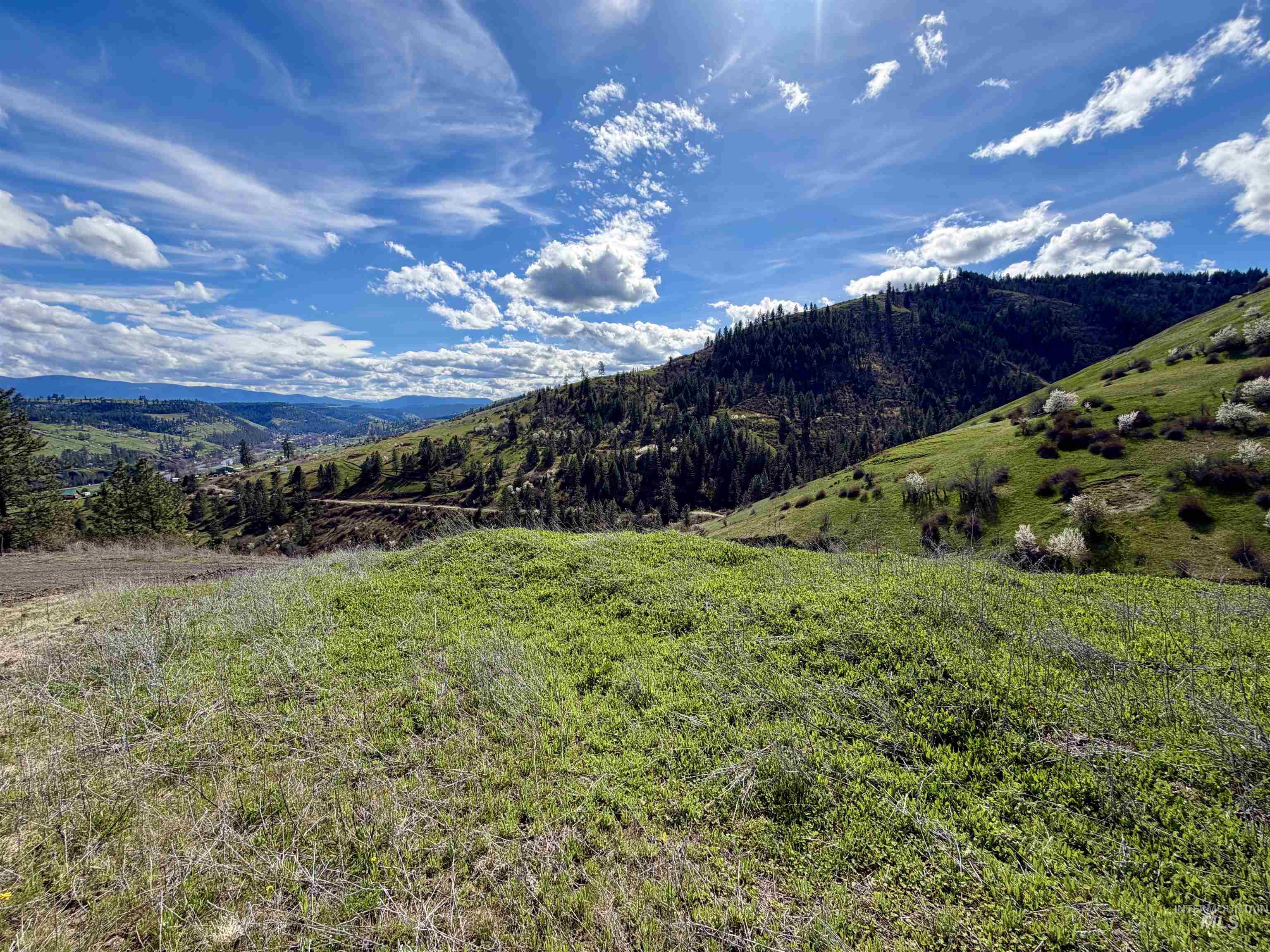 TBD Hidden Canyon Road, Kooskia ID 83539