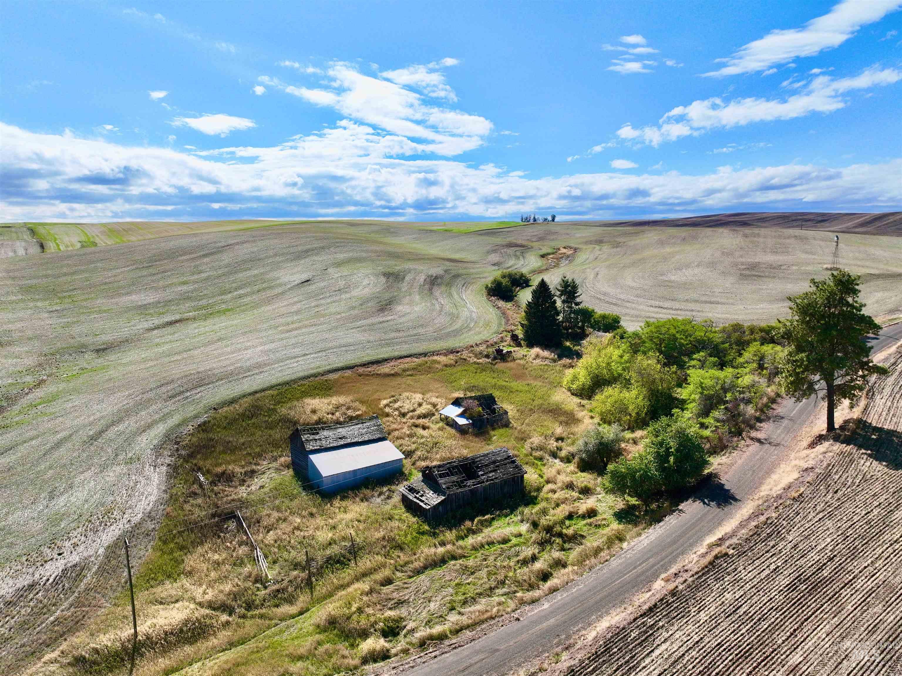 TBD Central Ridge Rd & Younger Rd, Craigmont ID 83523