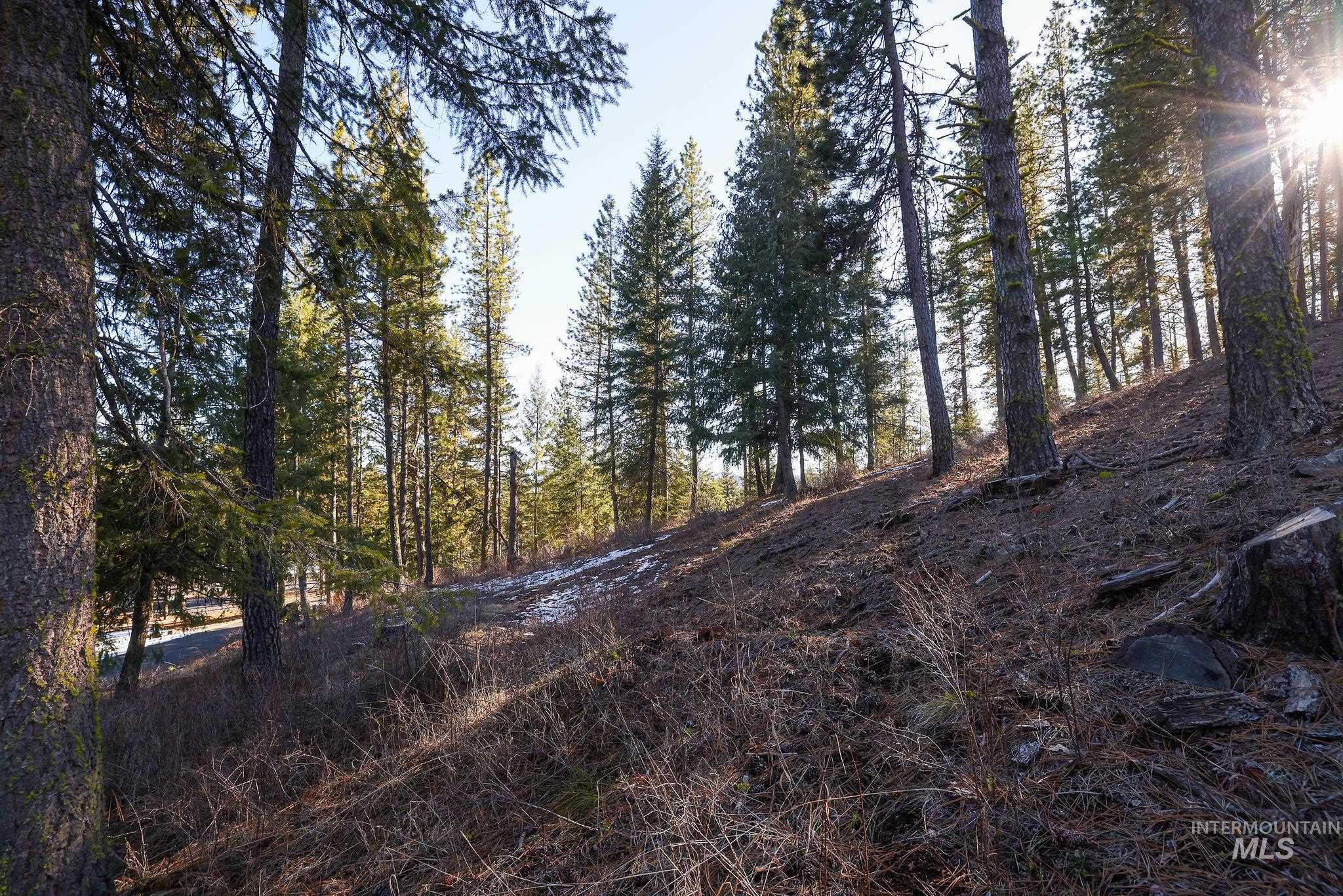 Lot 7 Camas Dr, New Meadows ID 83654