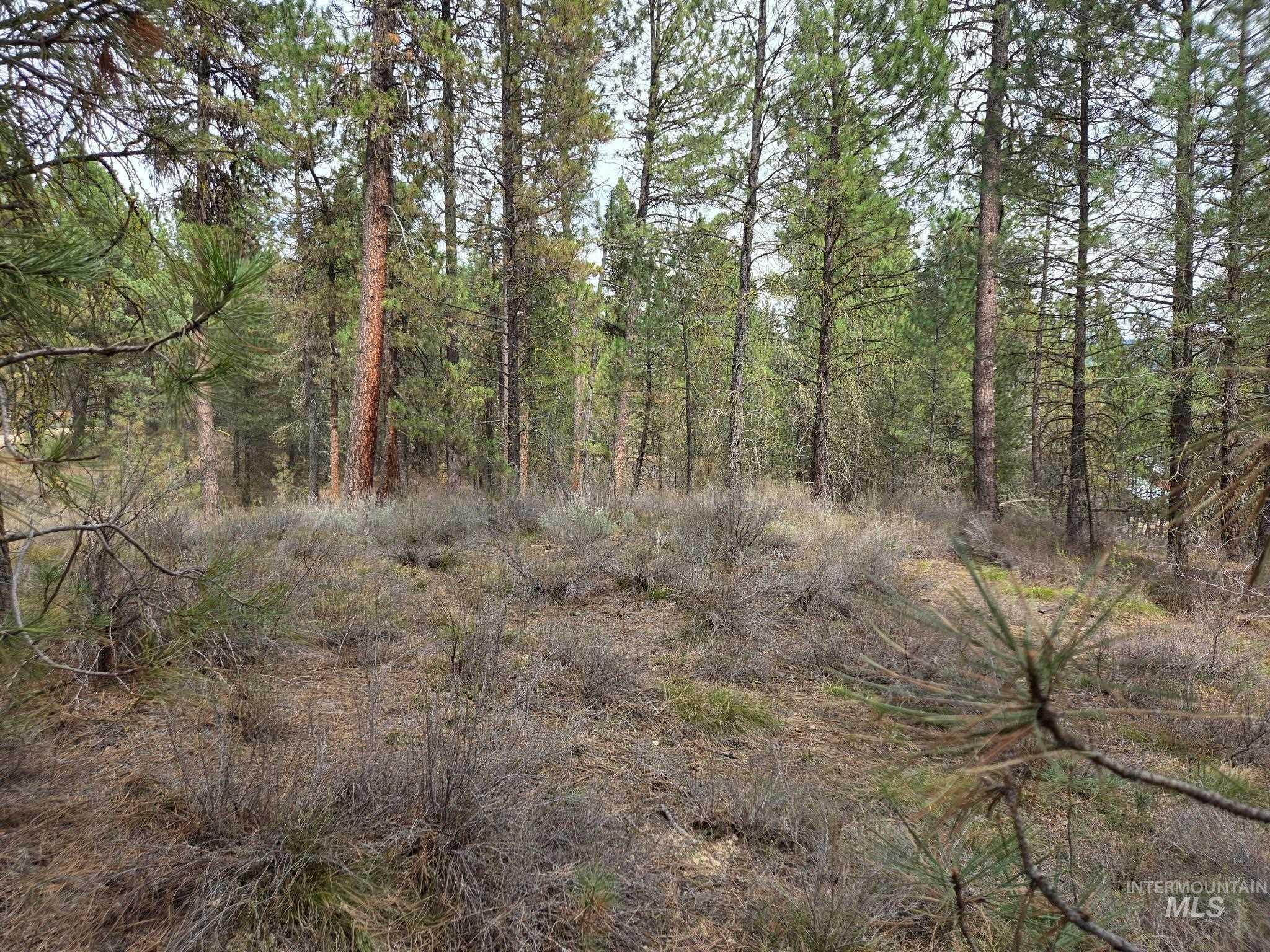 Lot 31 S Meadow Creek, Idaho City ID 83631