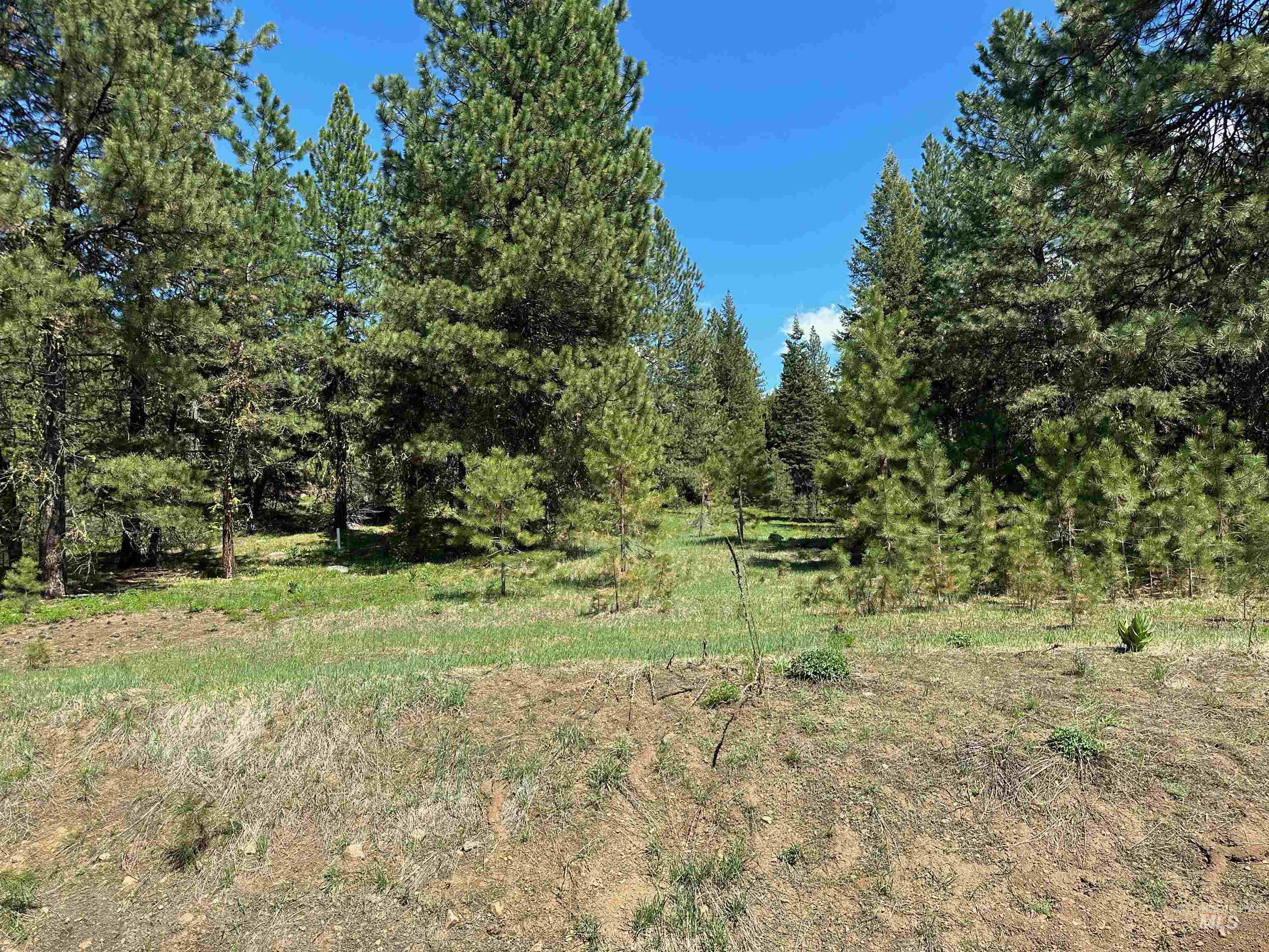 TBD Whitefield Lane, McCall ID 83638